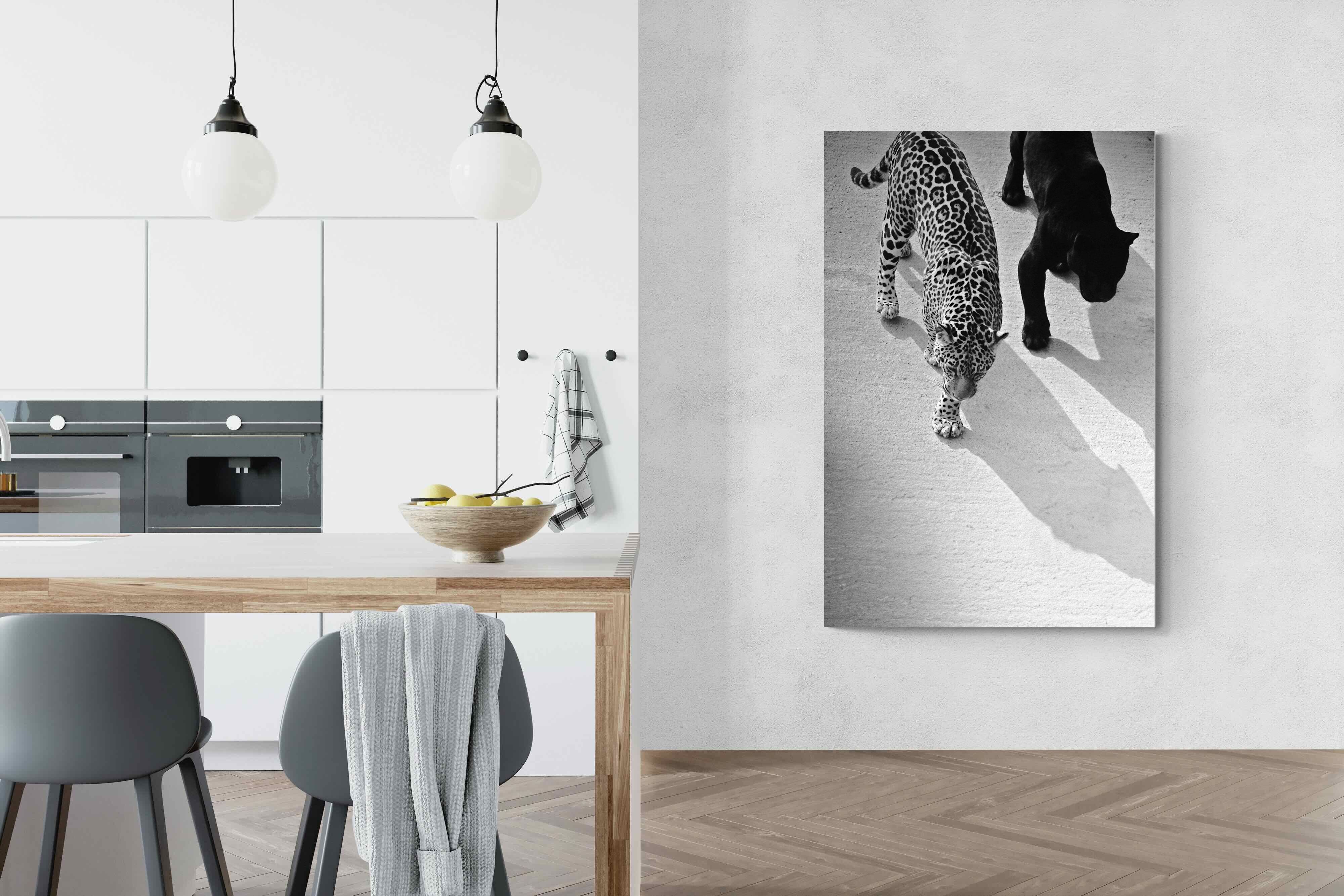 Pixalot On The Prowl