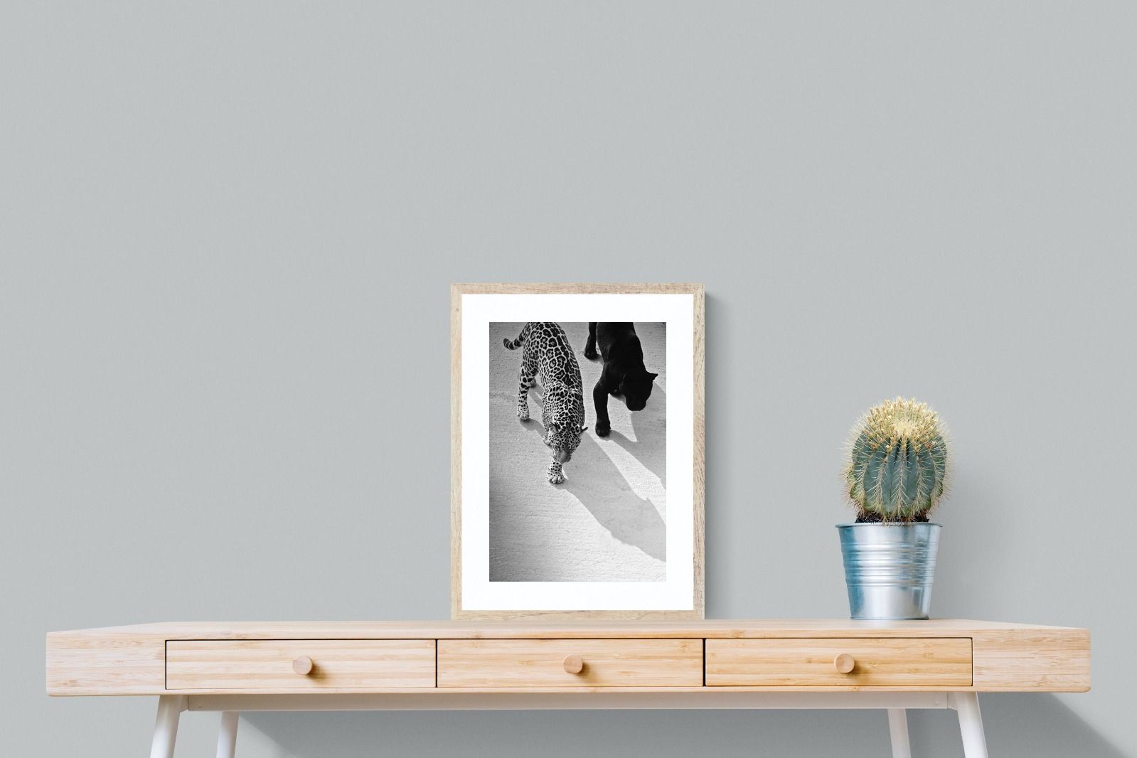 Pixalot On The Prowl