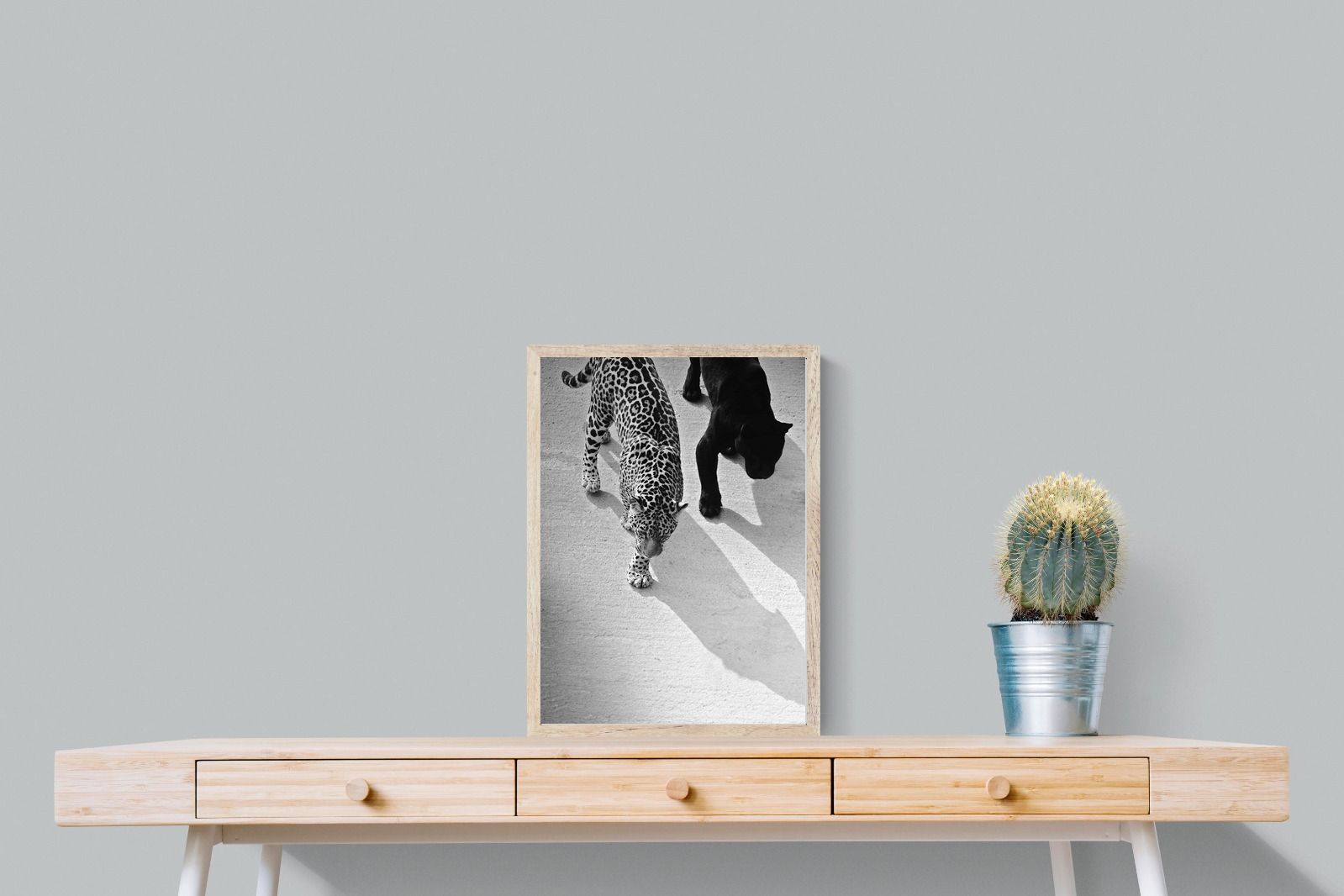 Pixalot On The Prowl