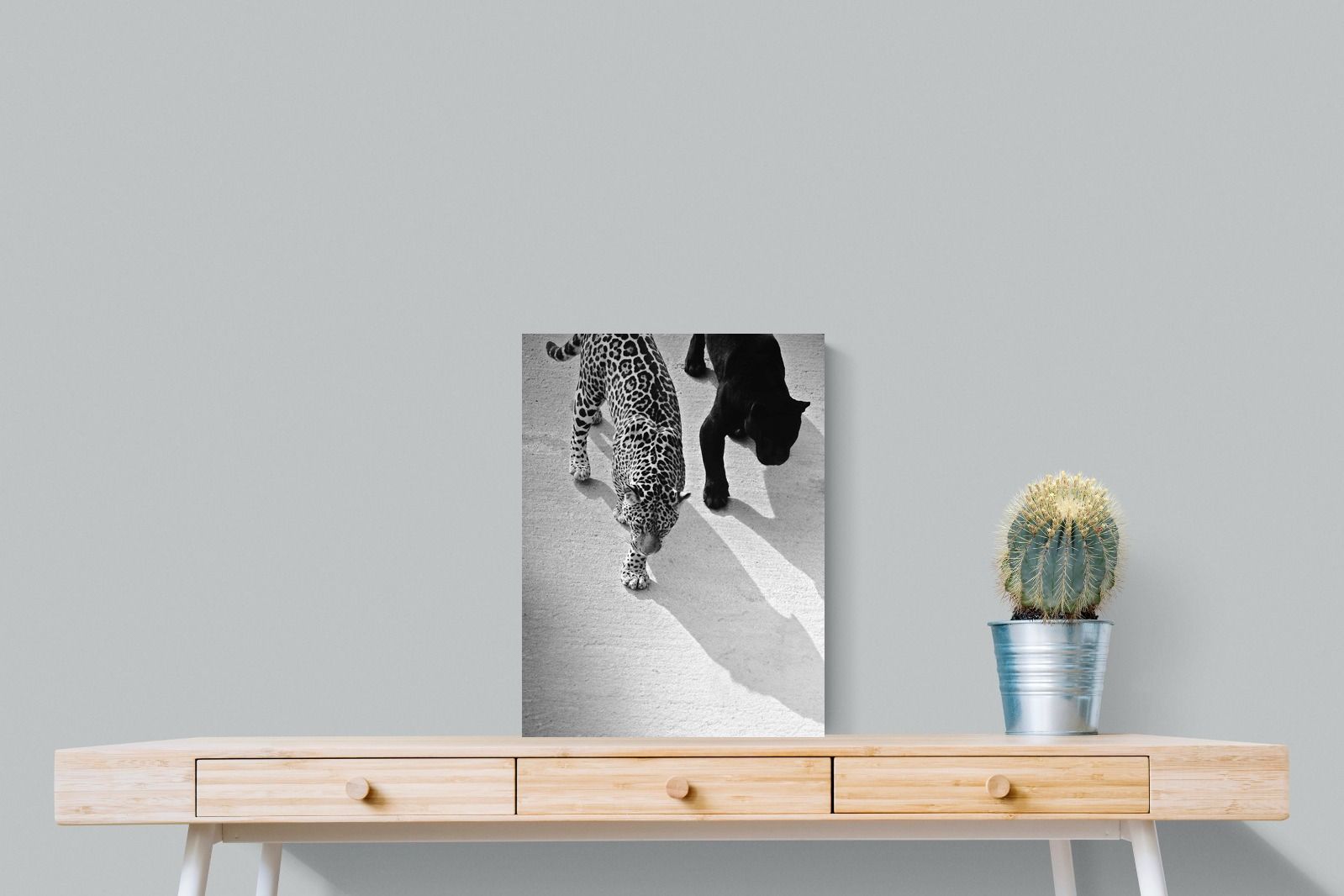 Pixalot On The Prowl