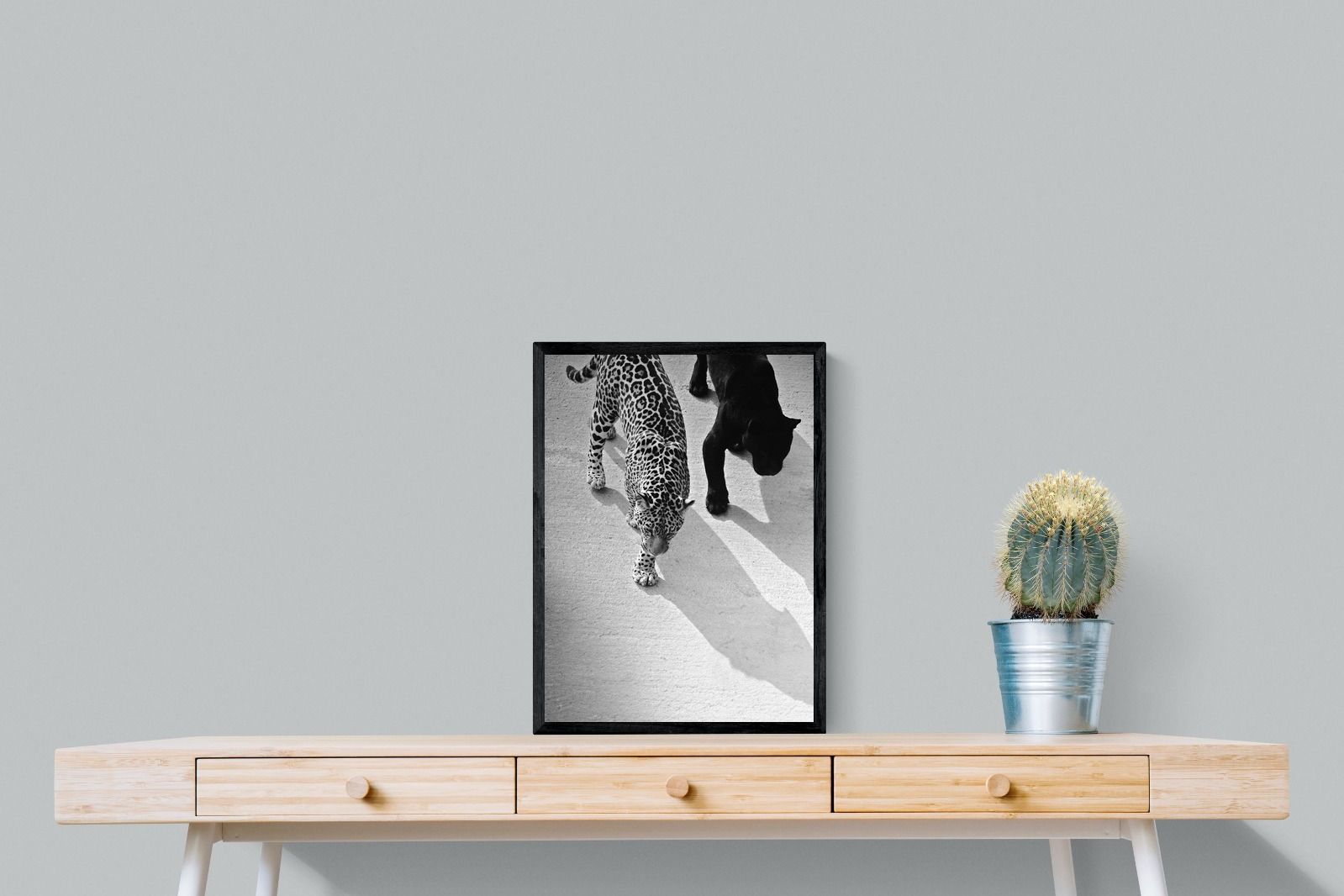 Pixalot On The Prowl