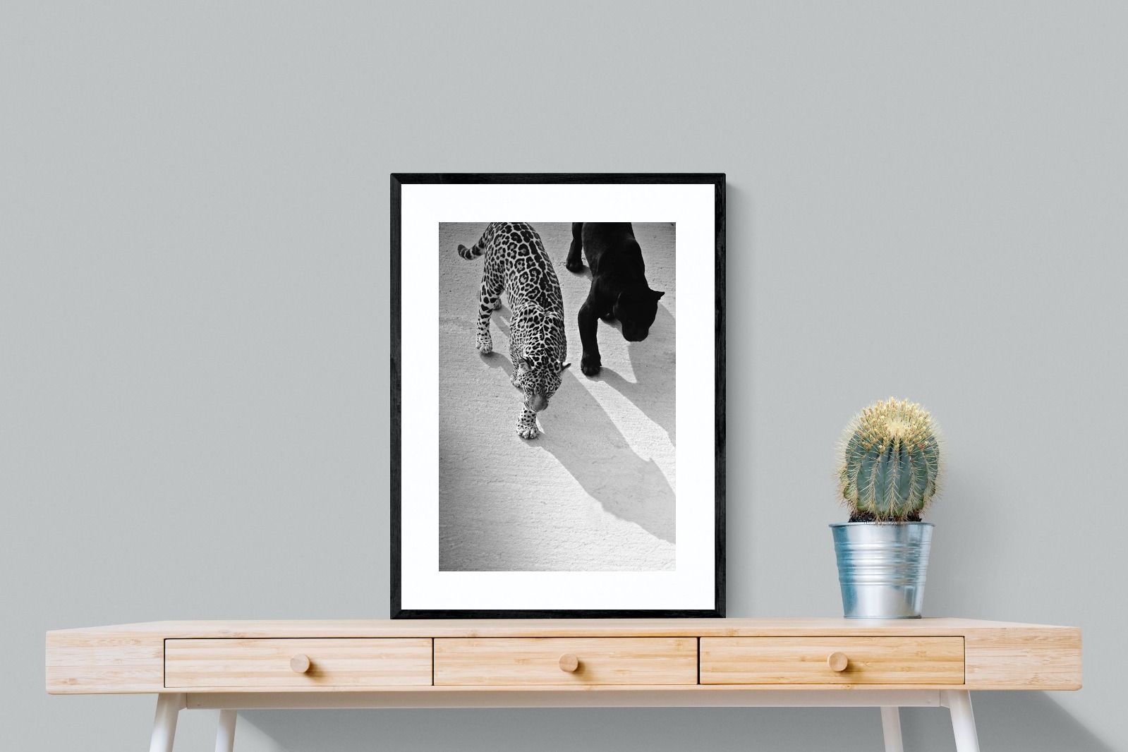 Pixalot On The Prowl