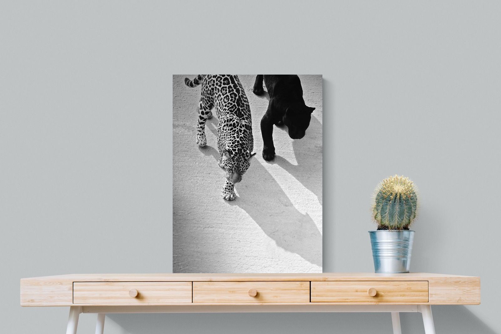 Pixalot On The Prowl