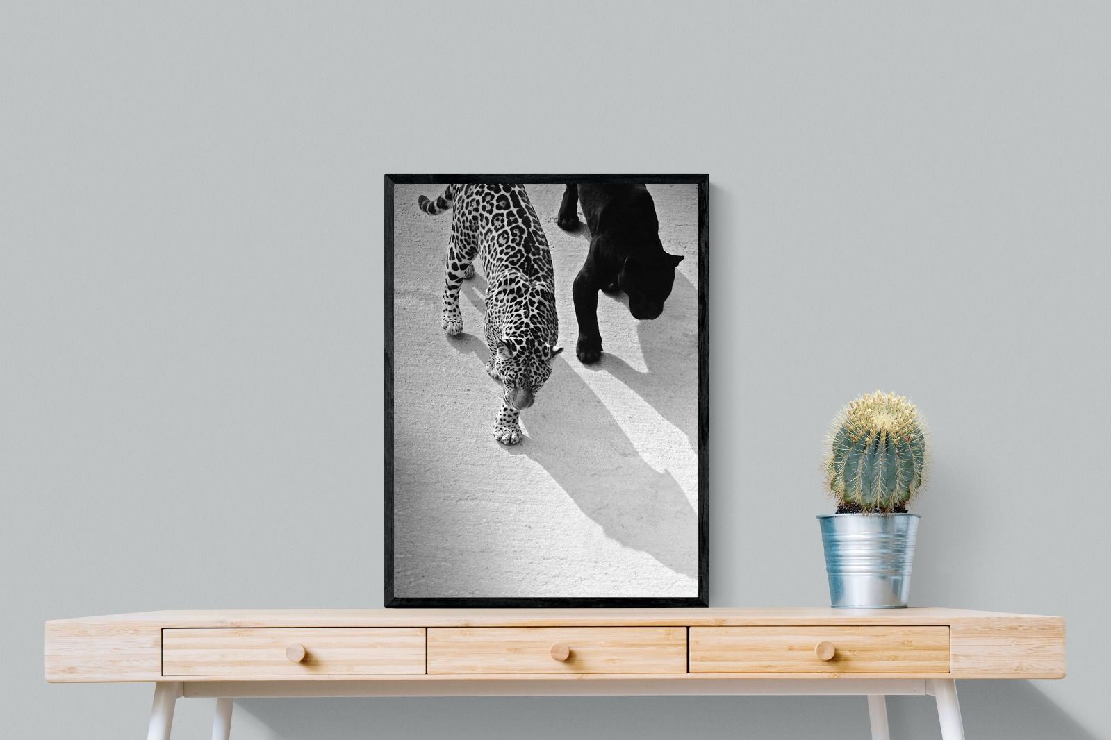 Pixalot On The Prowl