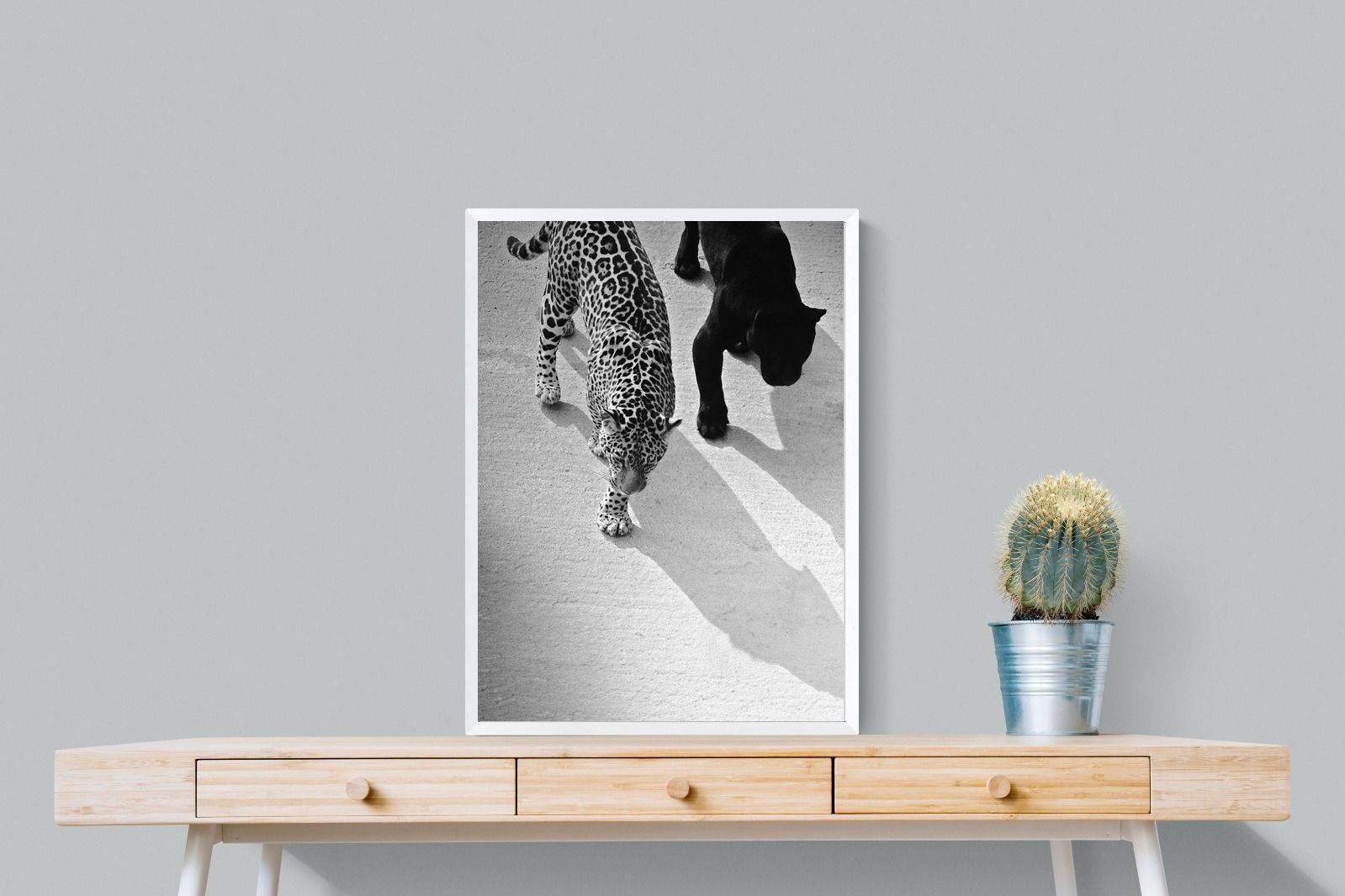 Pixalot On The Prowl