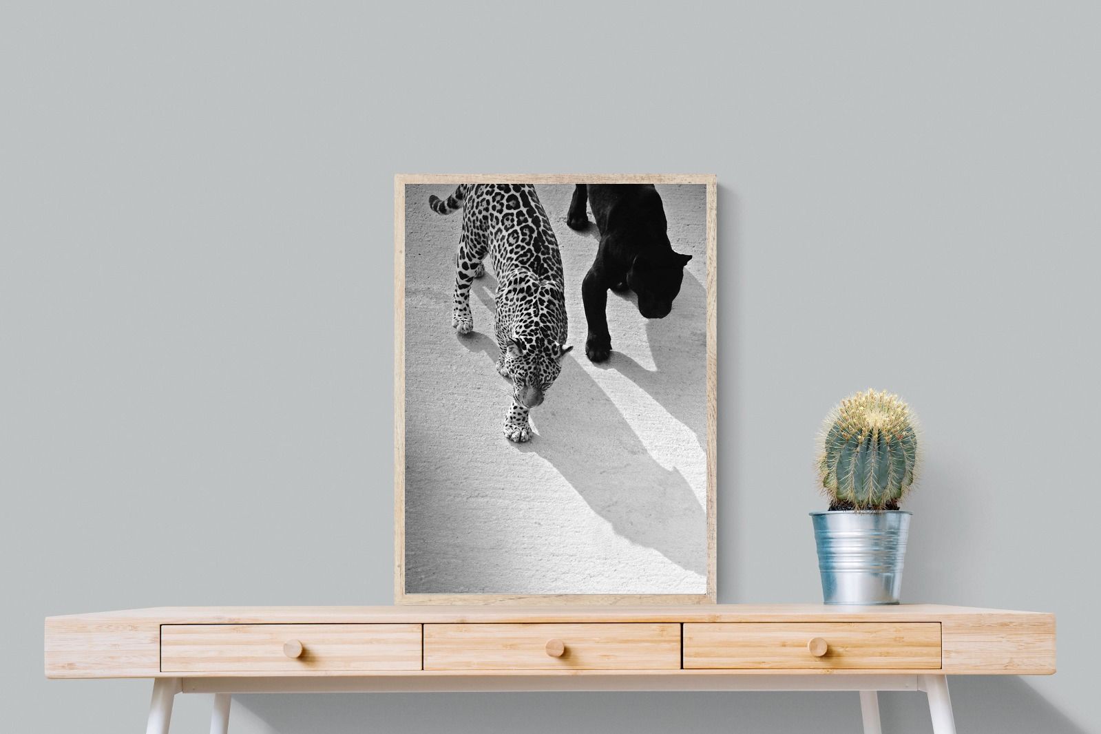 Pixalot On The Prowl