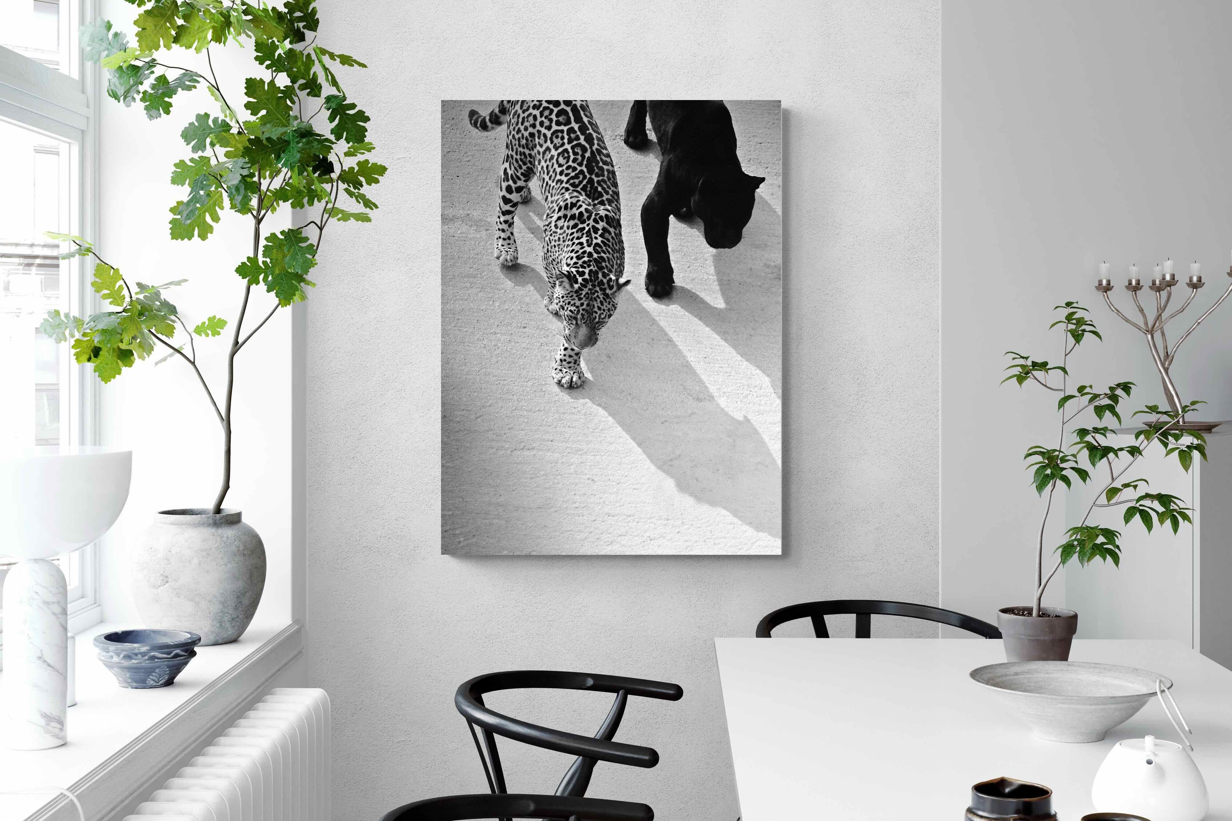 Pixalot On The Prowl