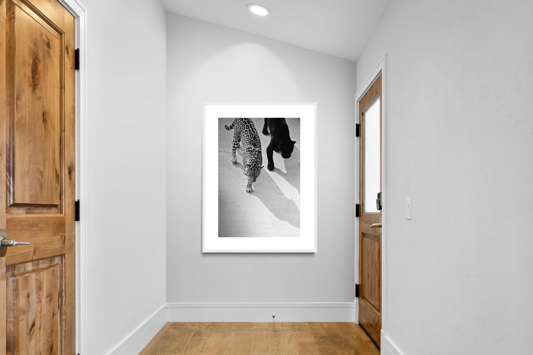 Pixalot On The Prowl