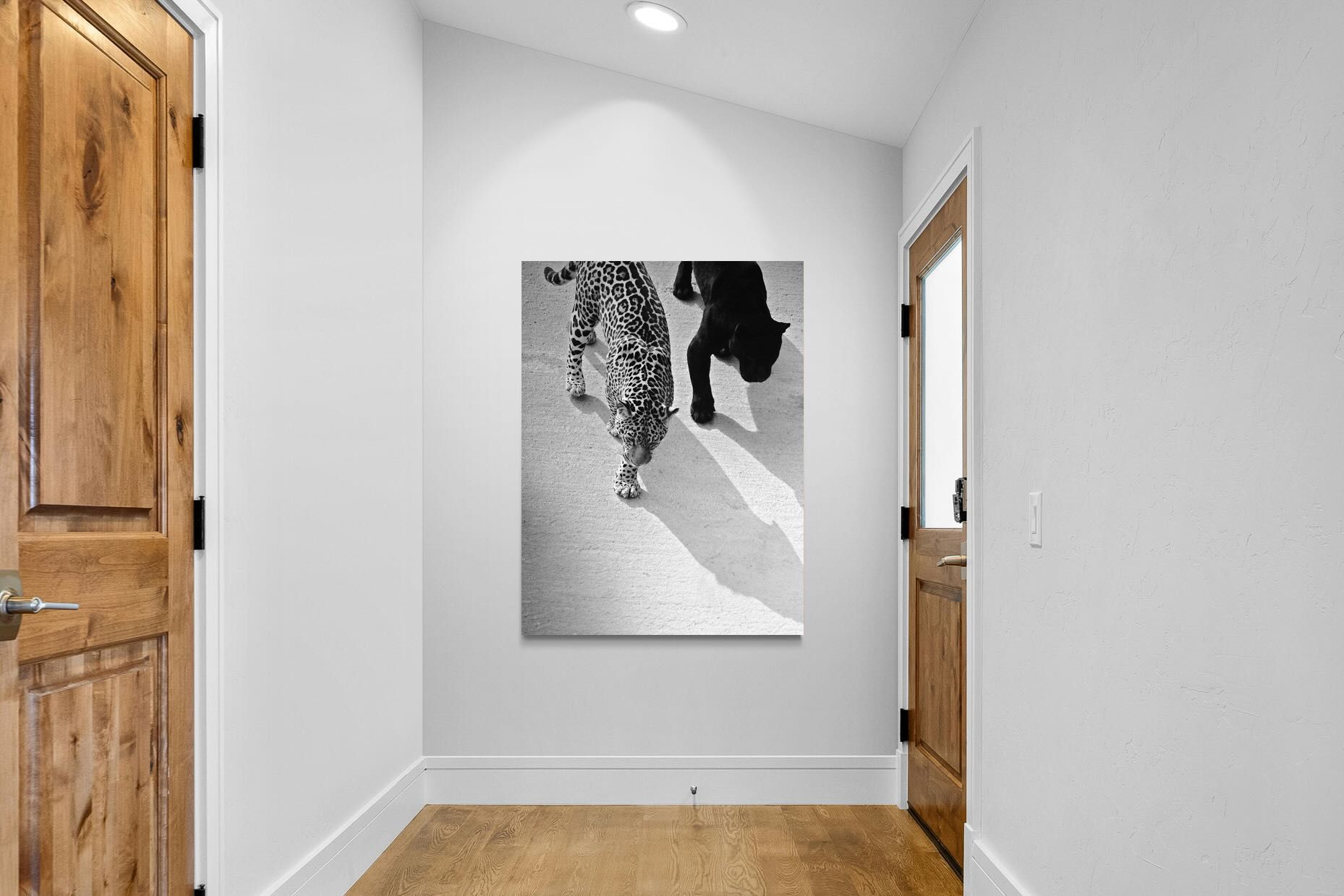 Pixalot On The Prowl