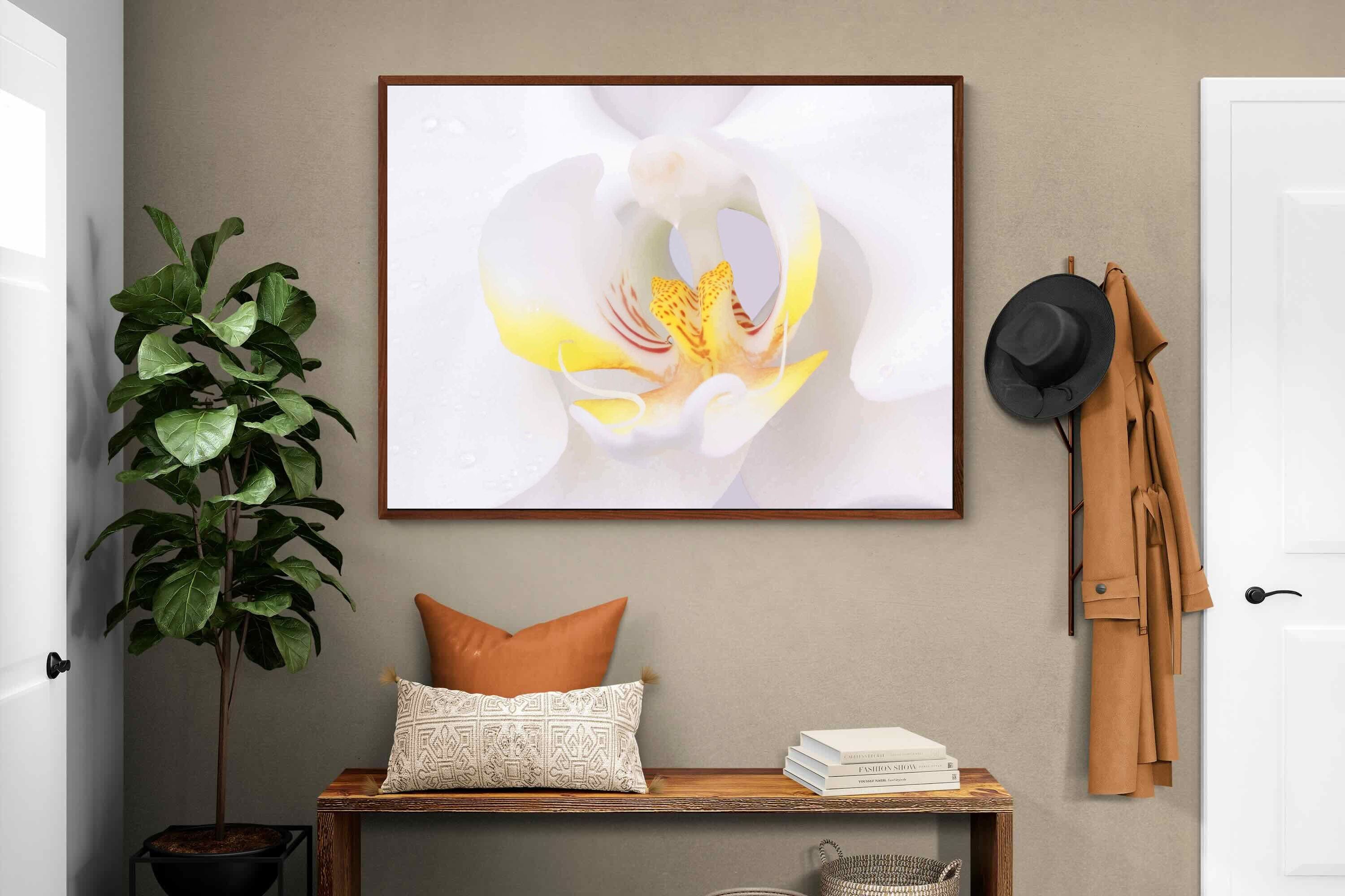 Pixalot ® Orchid