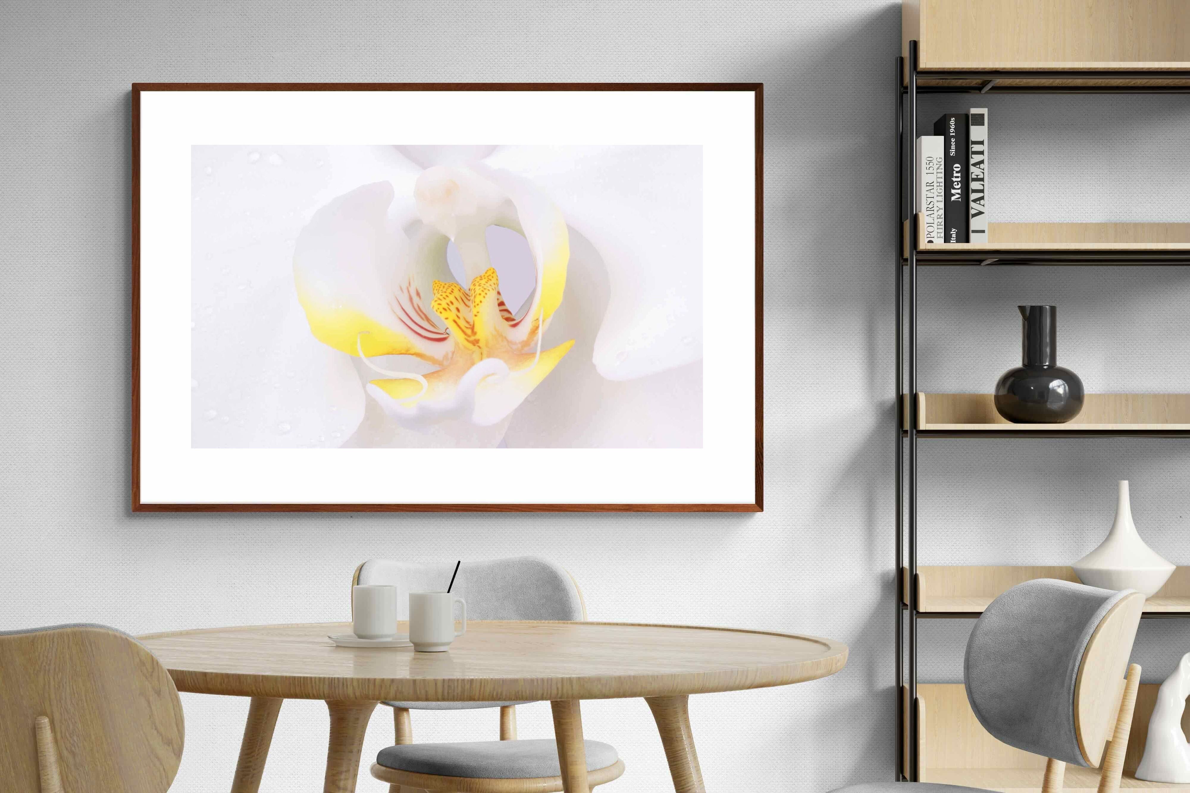 Pixalot ® Orchid