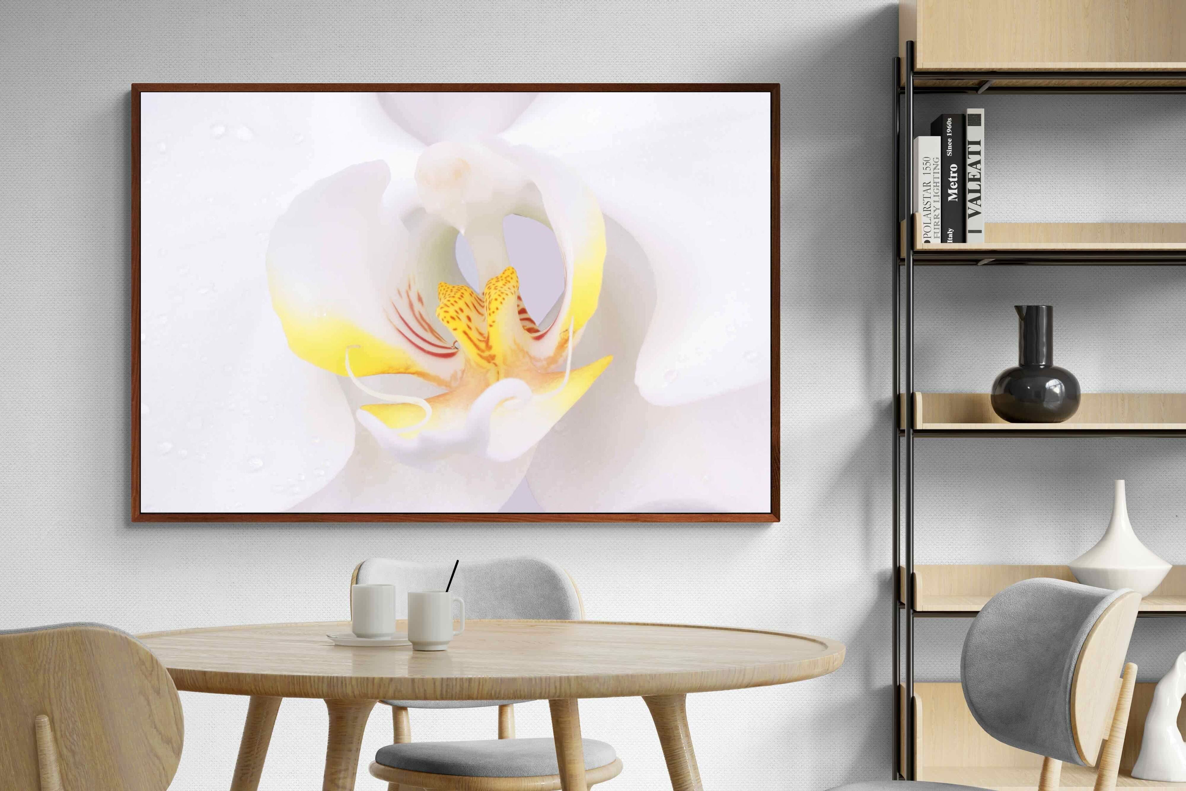 Pixalot ® Orchid