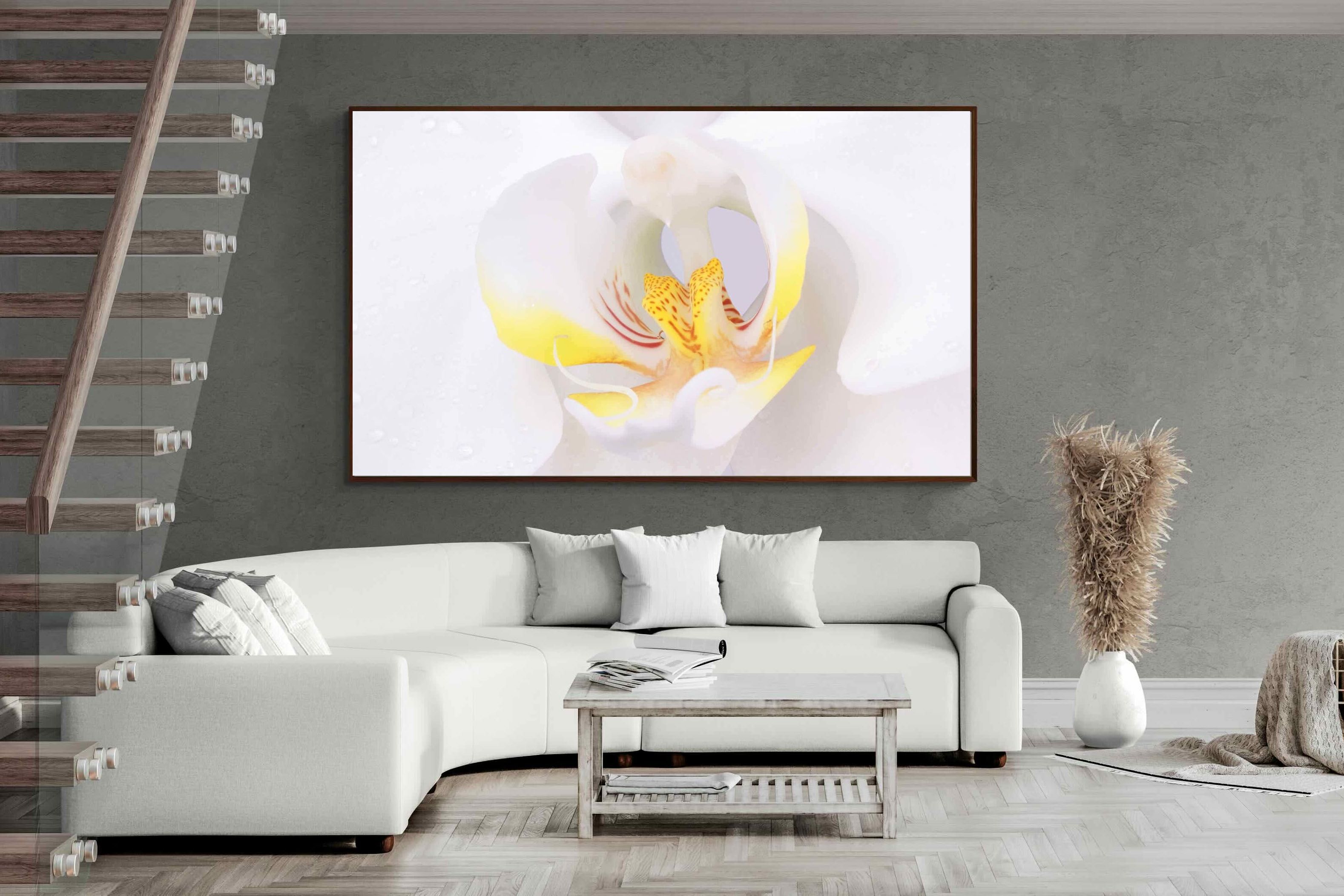 Pixalot ® Orchid