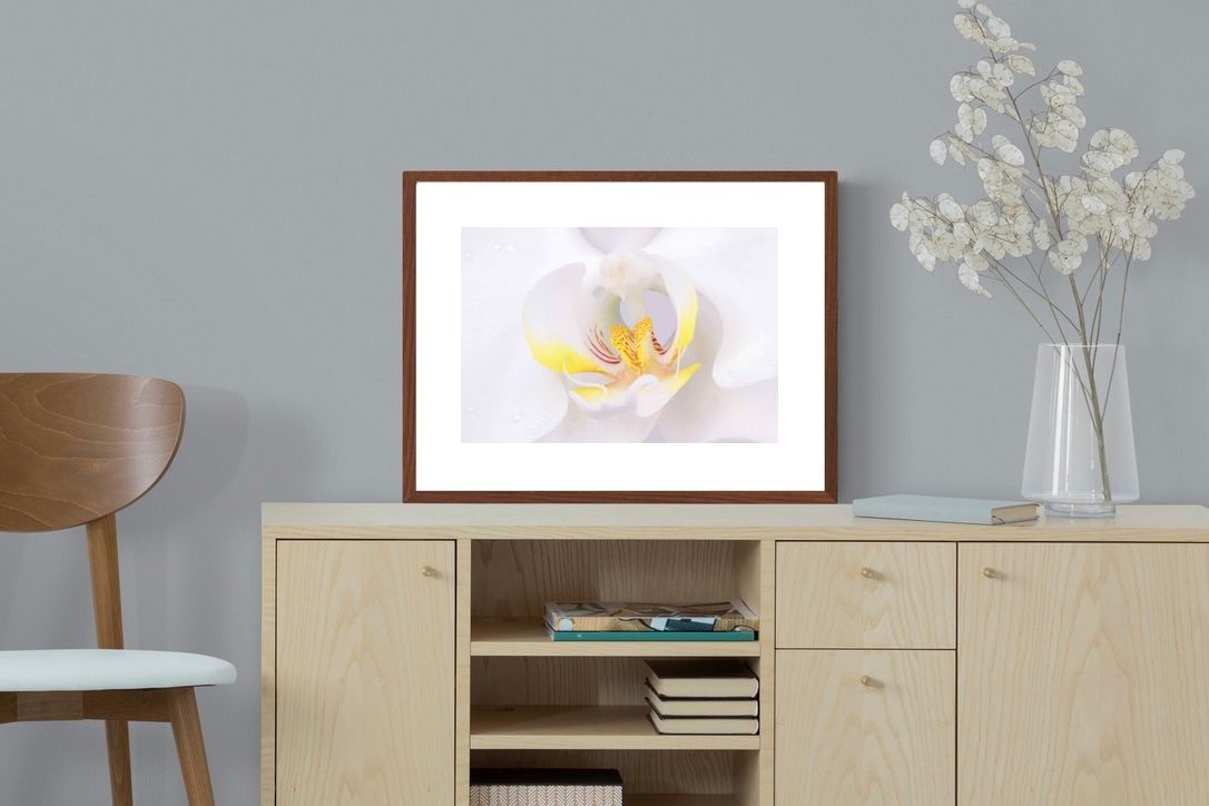 Pixalot ® Orchid