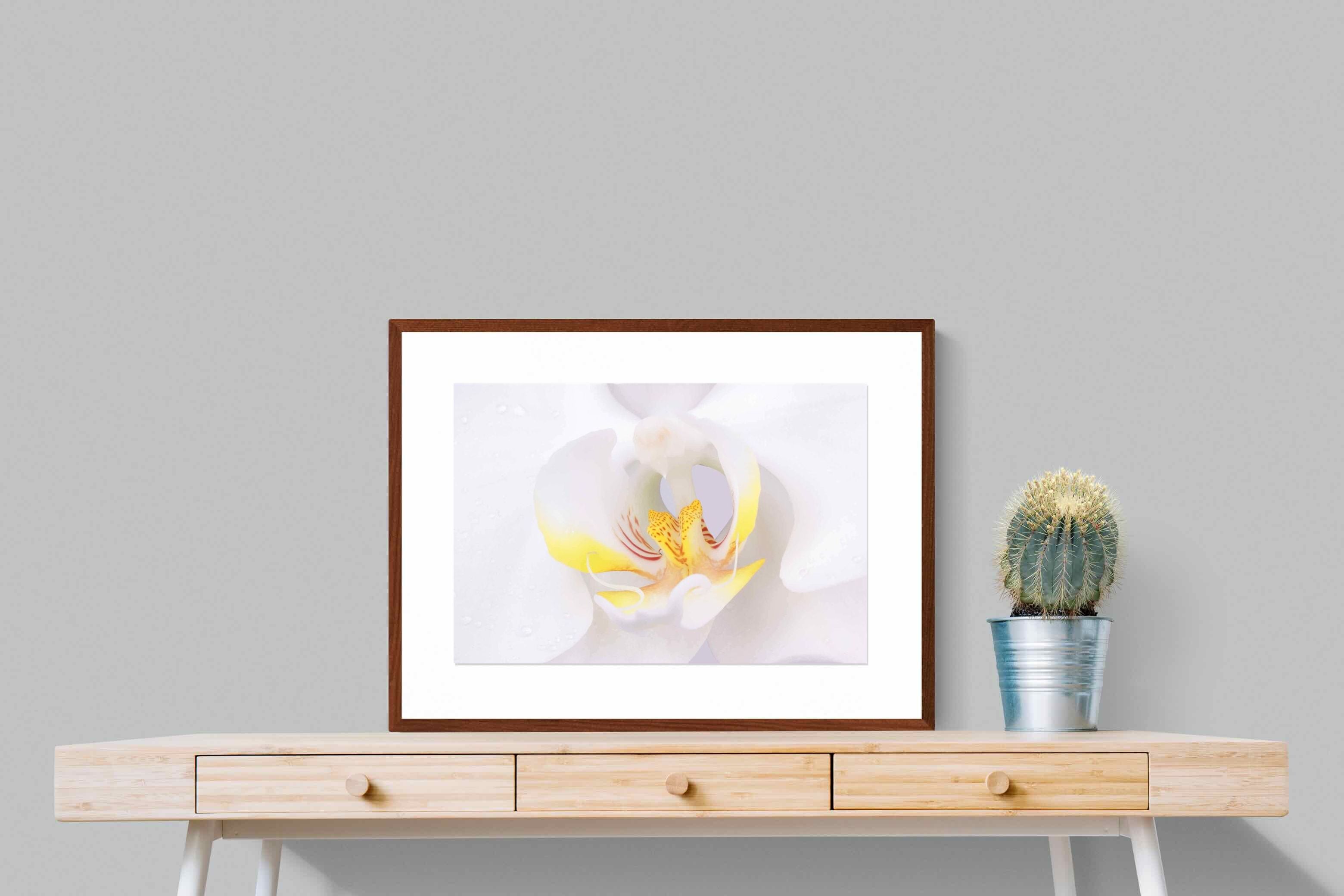 Pixalot ® Orchid