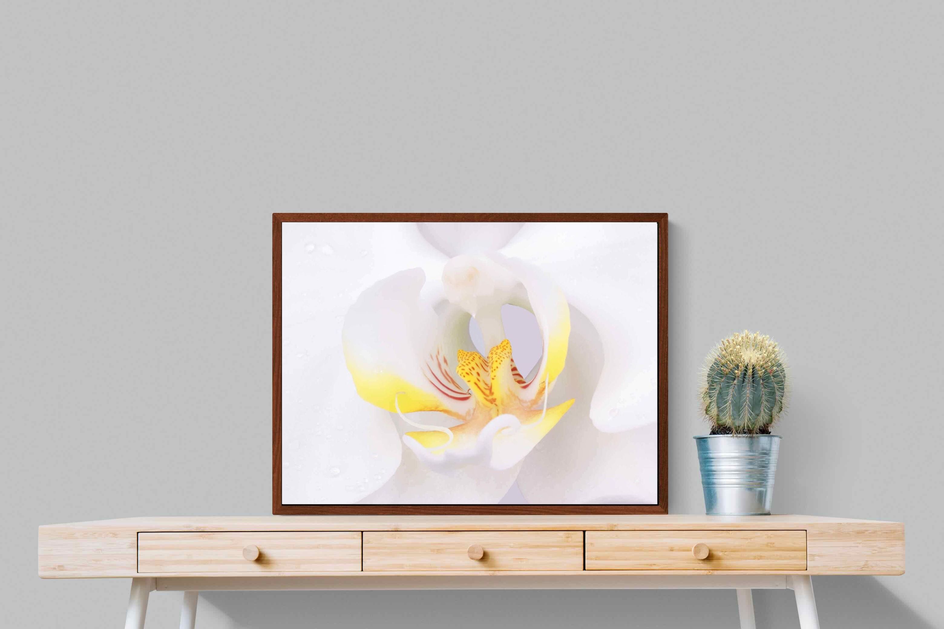 Pixalot ® Orchid