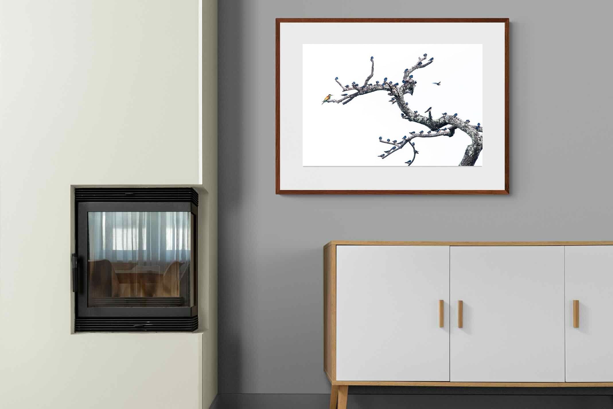 Pixalot Out of the Ordinary