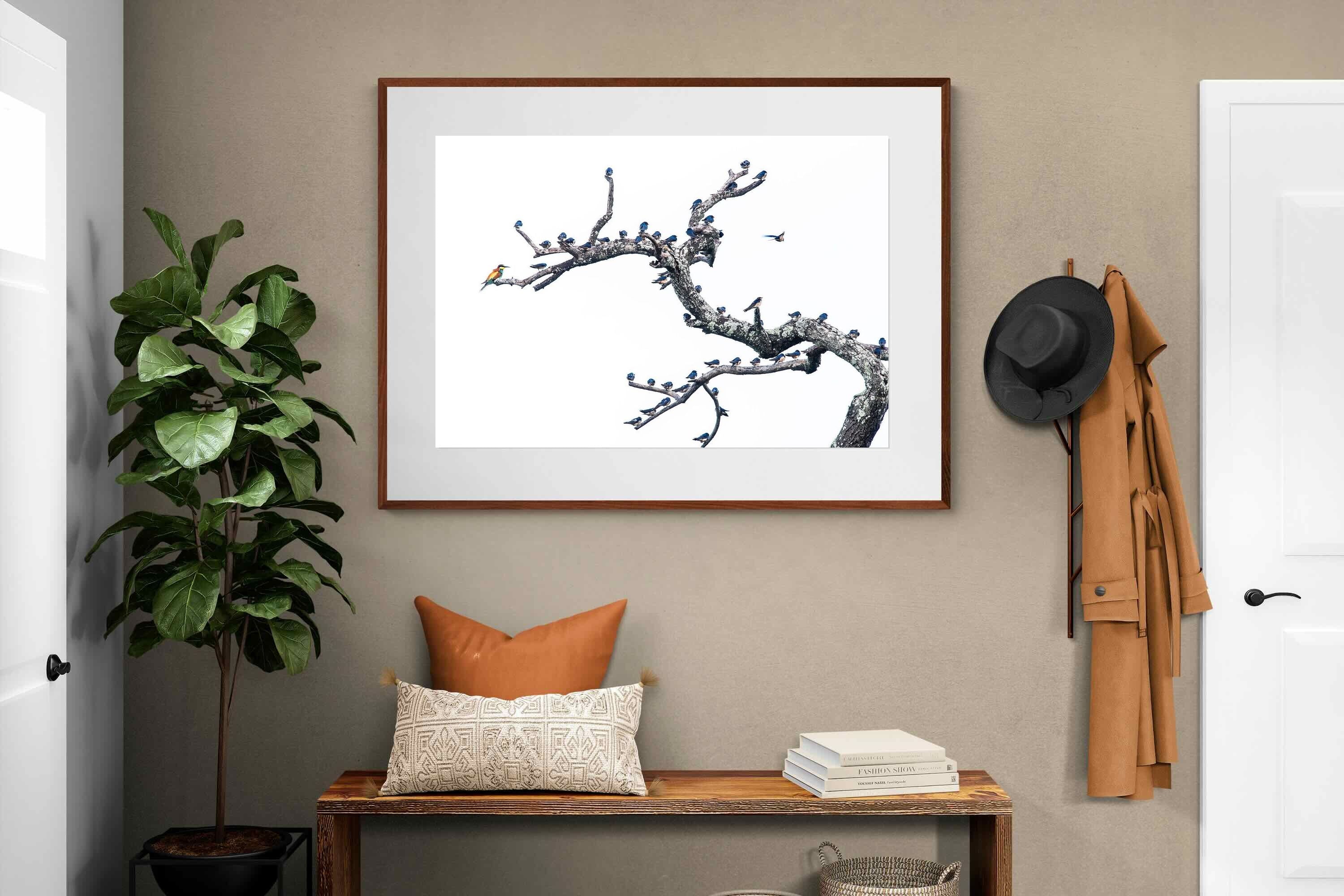 Pixalot Out of the Ordinary