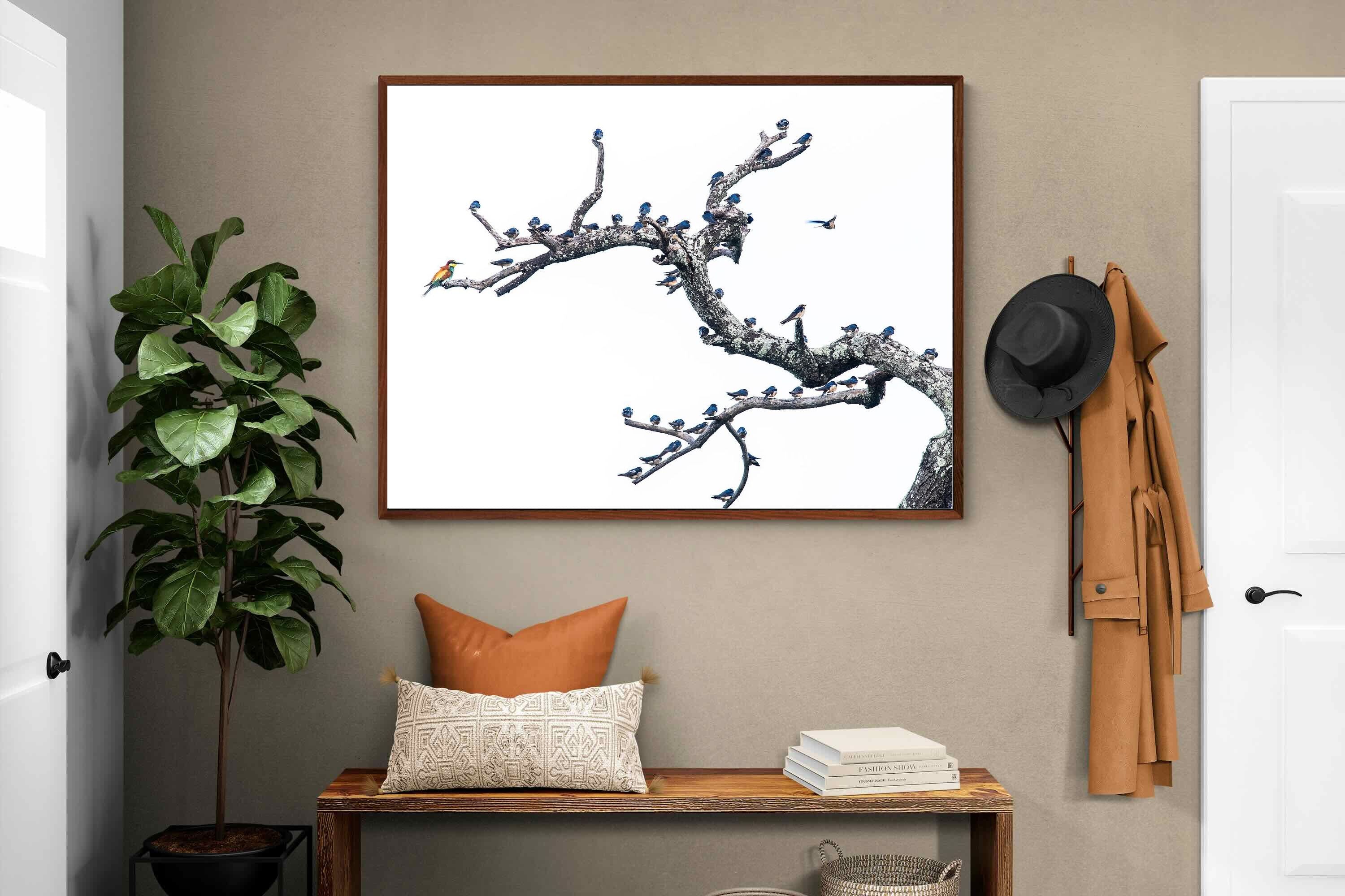 Pixalot Out of the Ordinary