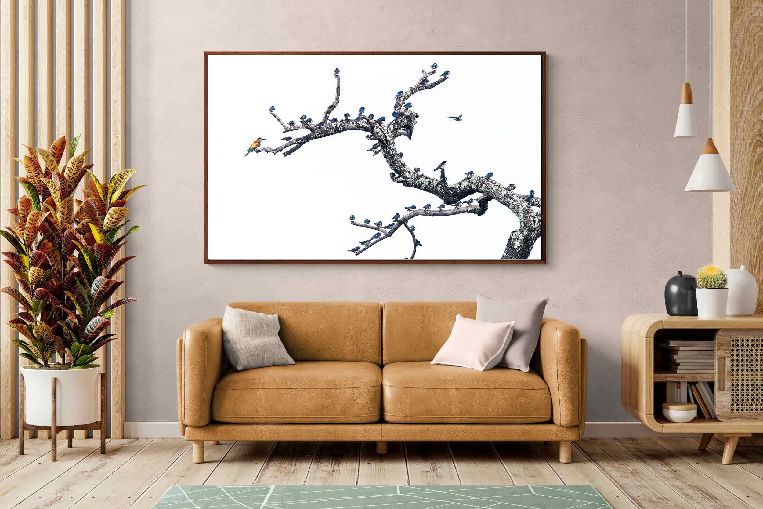 Pixalot Out of the Ordinary