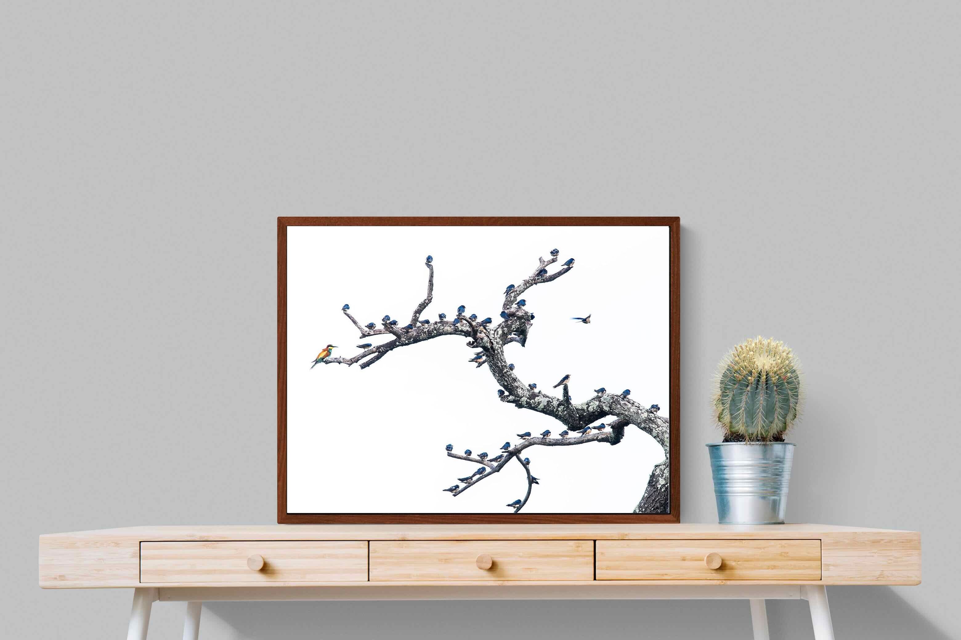 Pixalot Out of the Ordinary