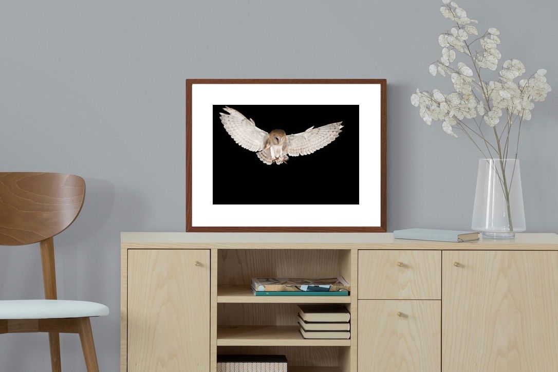 Pixalot ® Owl Attack