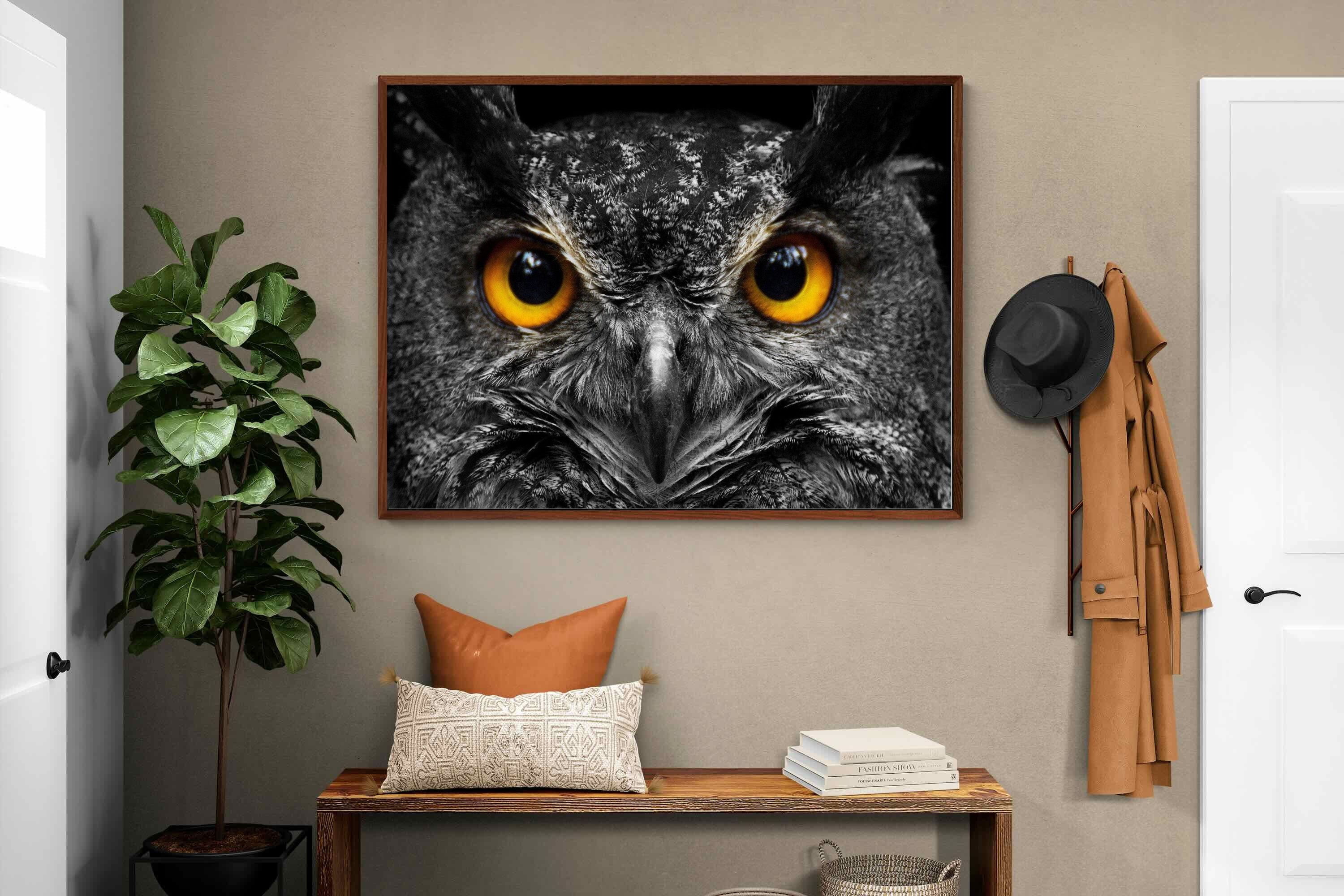 Pixalot ® Owl Eyes