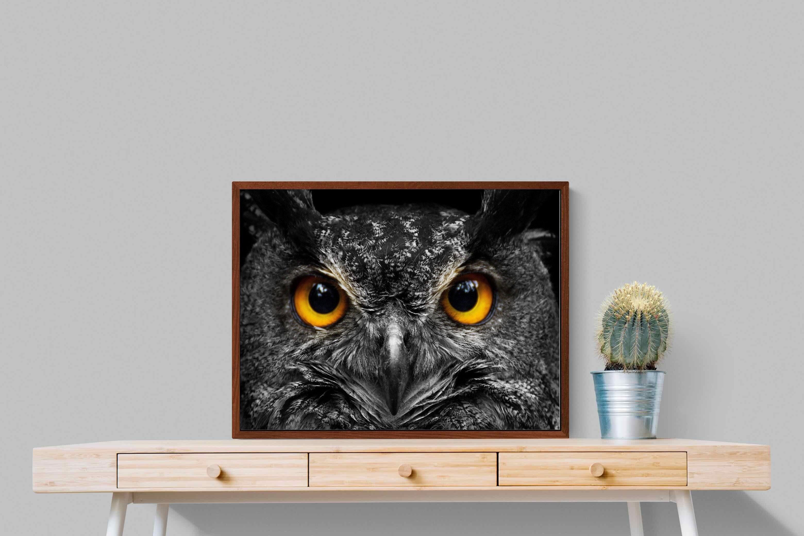 Pixalot ® Owl Eyes