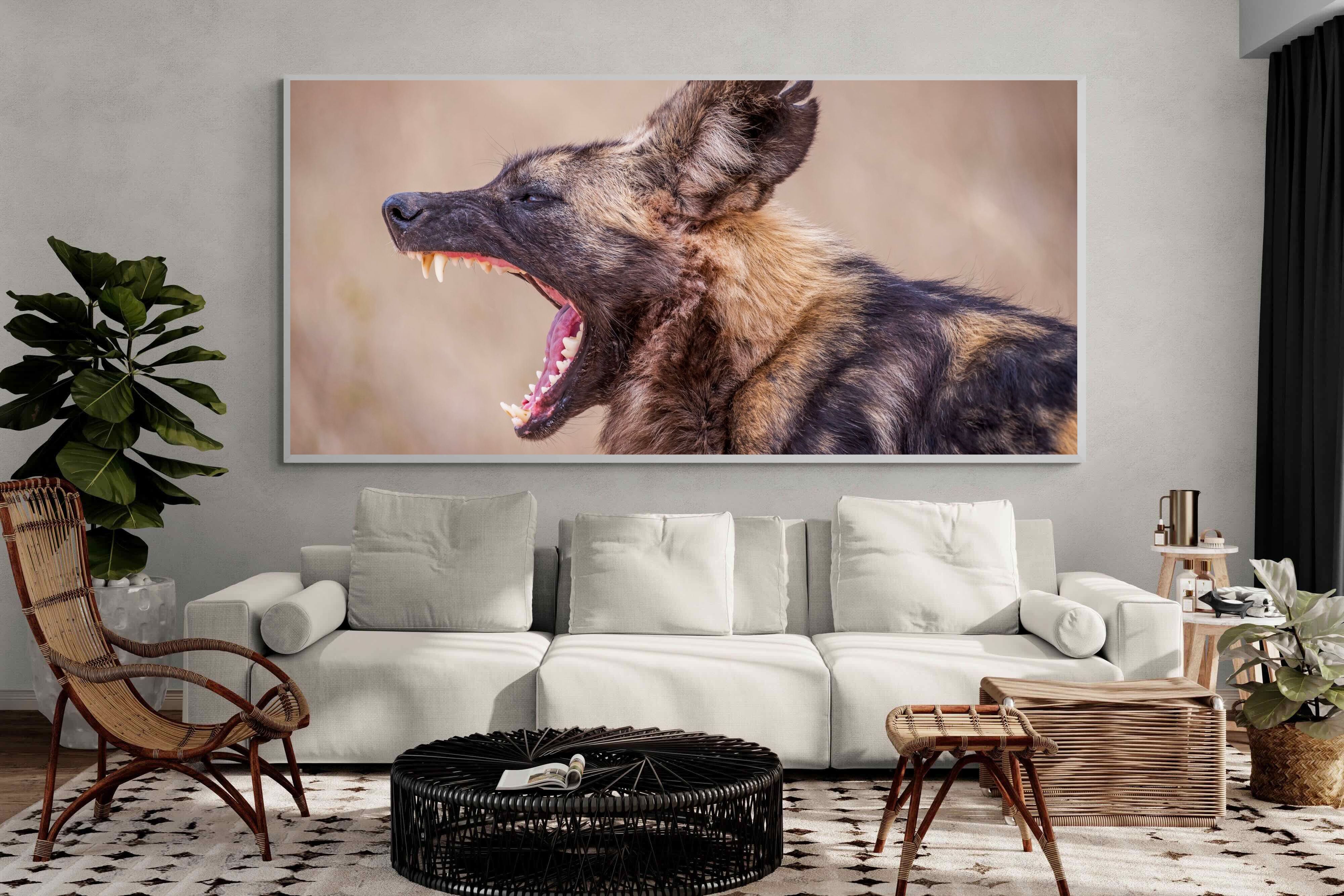 Pixalot Pack Dog