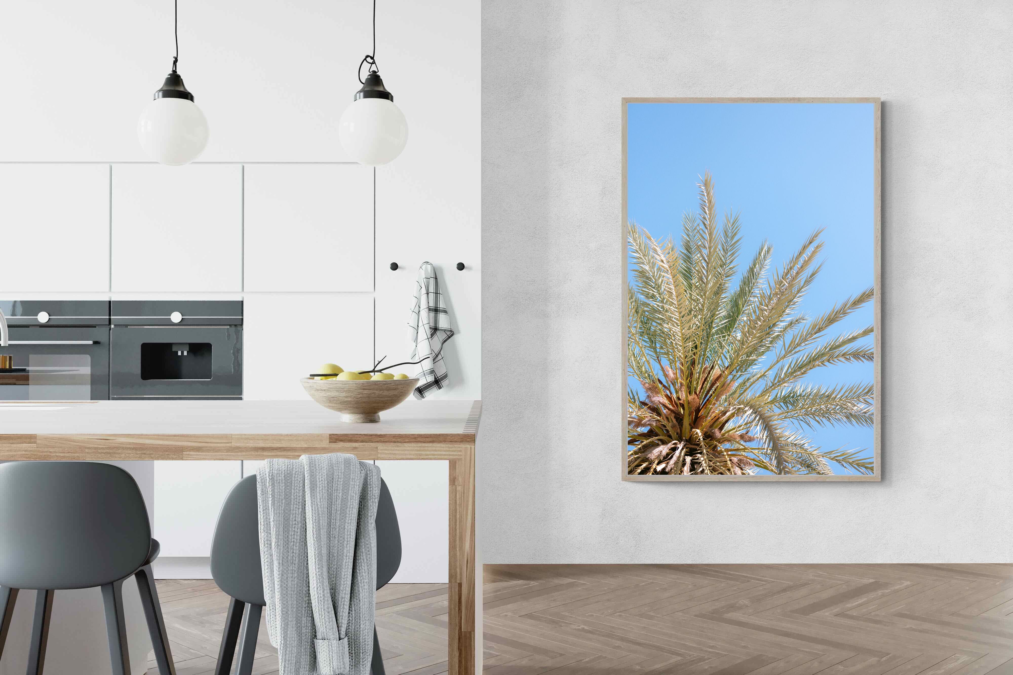 Pixalot Palm Radiance