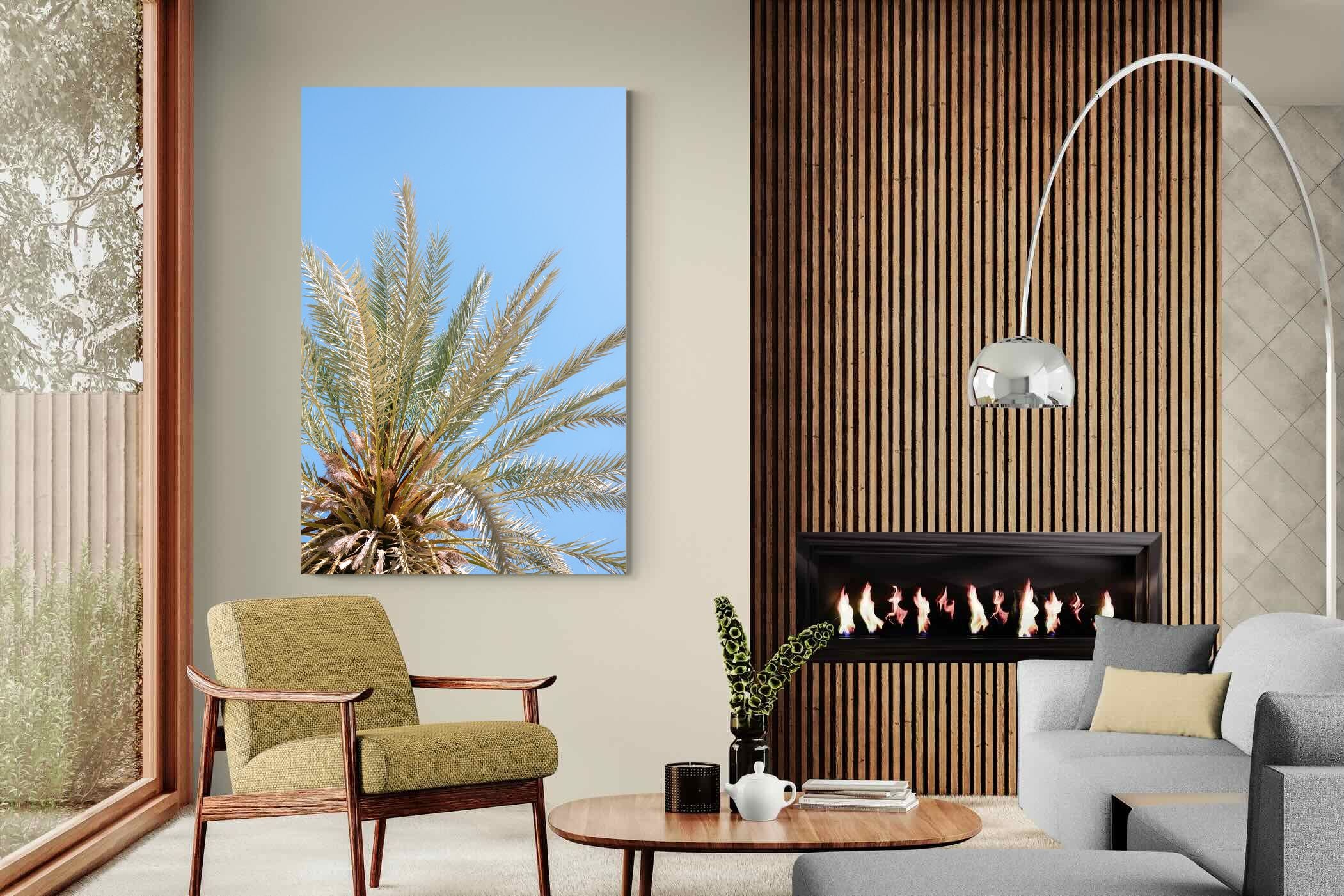 Pixalot Palm Radiance