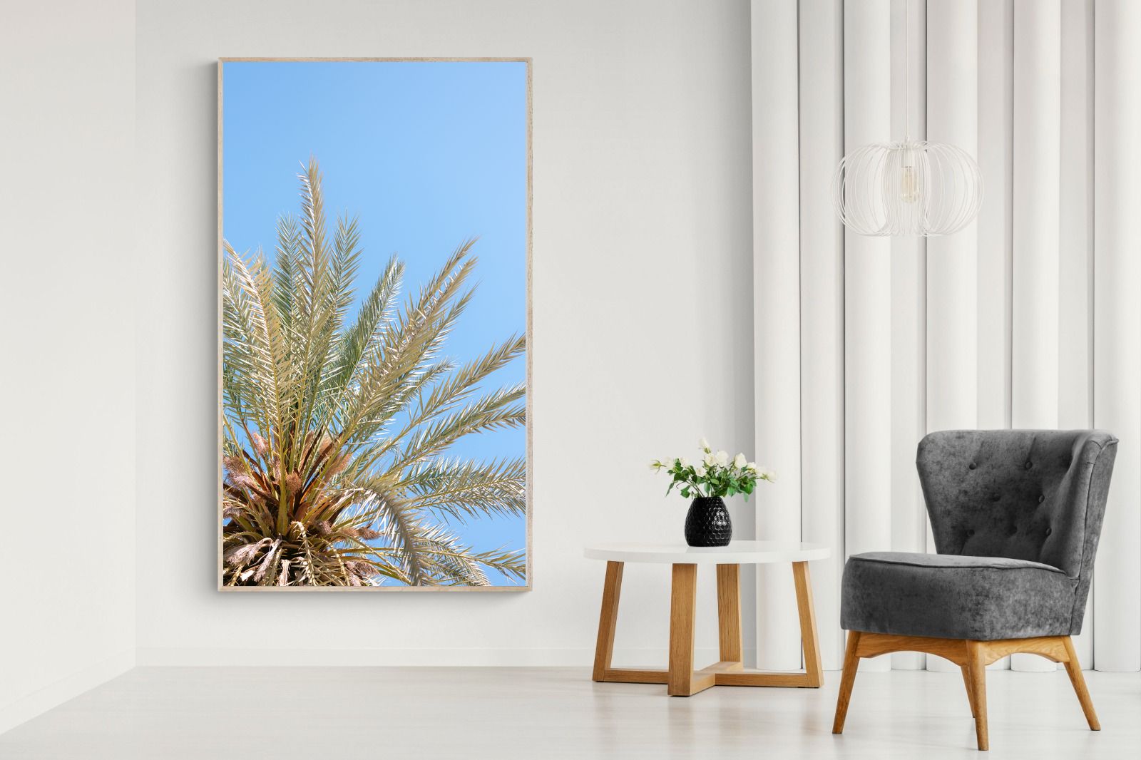 Pixalot Palm Radiance