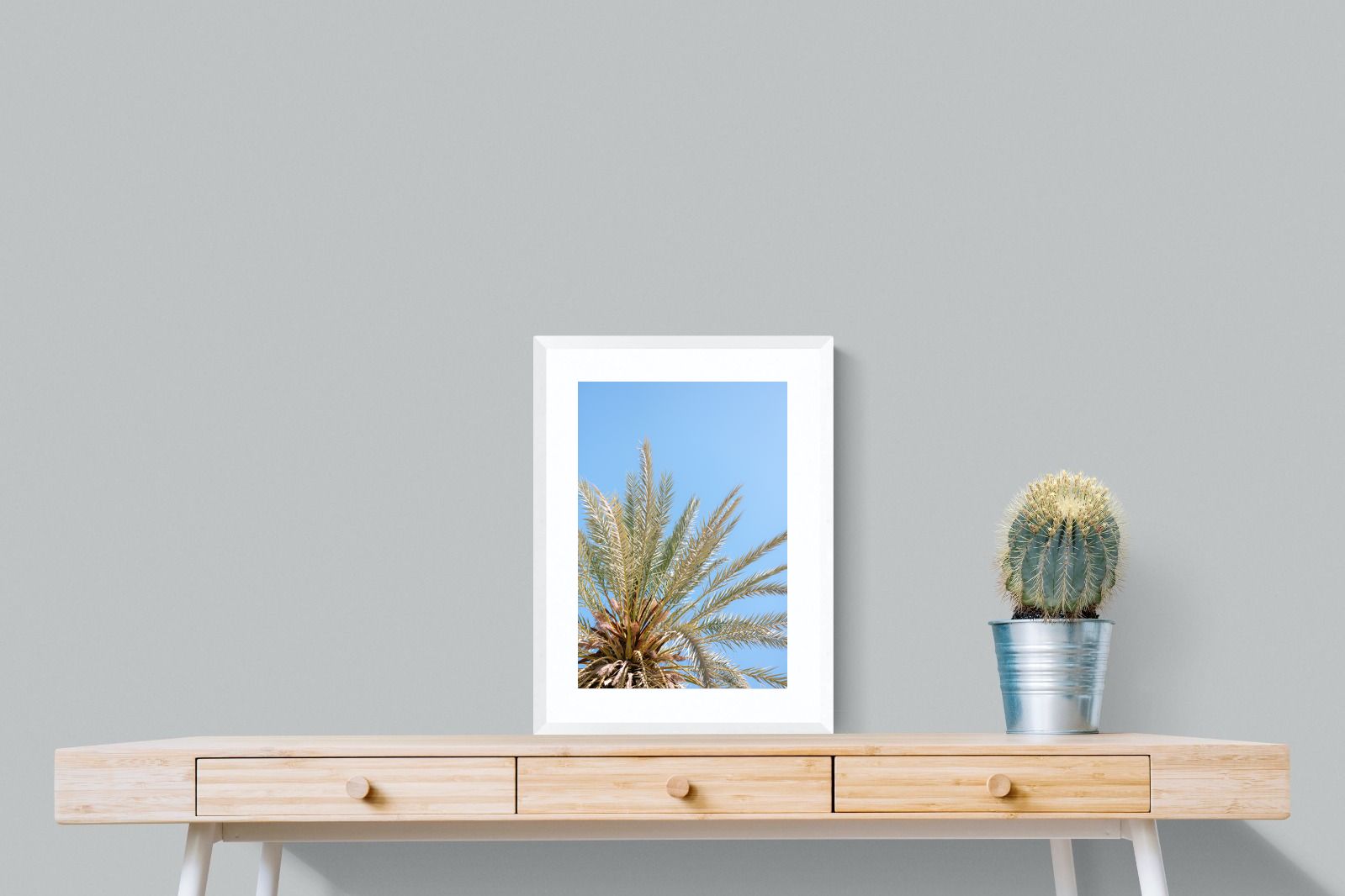 Pixalot Palm Radiance