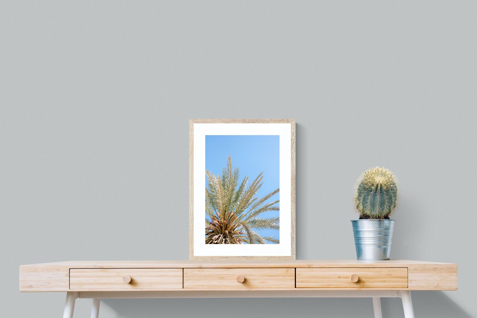 Pixalot Palm Radiance