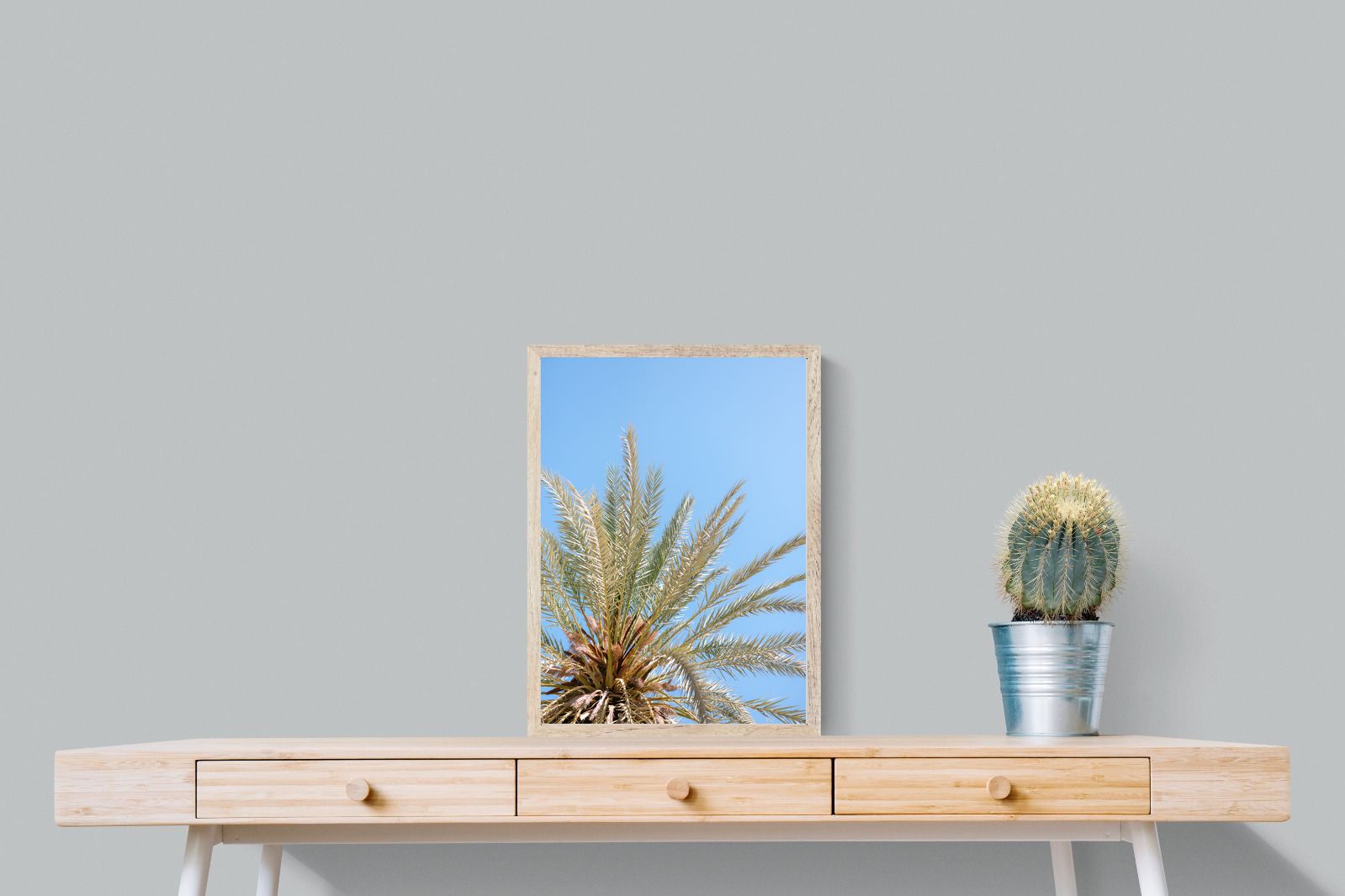 Pixalot Palm Radiance