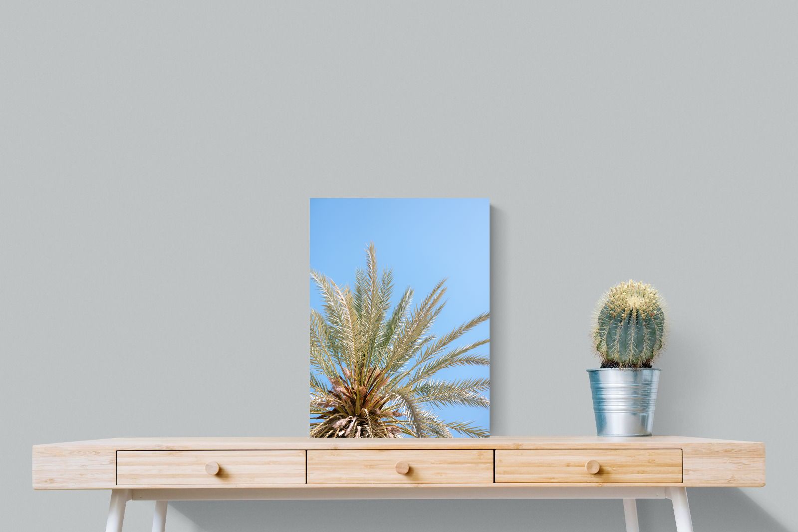 Pixalot Palm Radiance