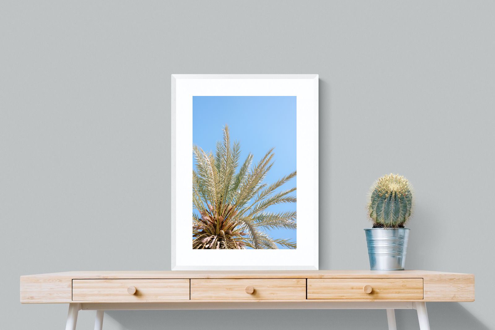 Pixalot Palm Radiance