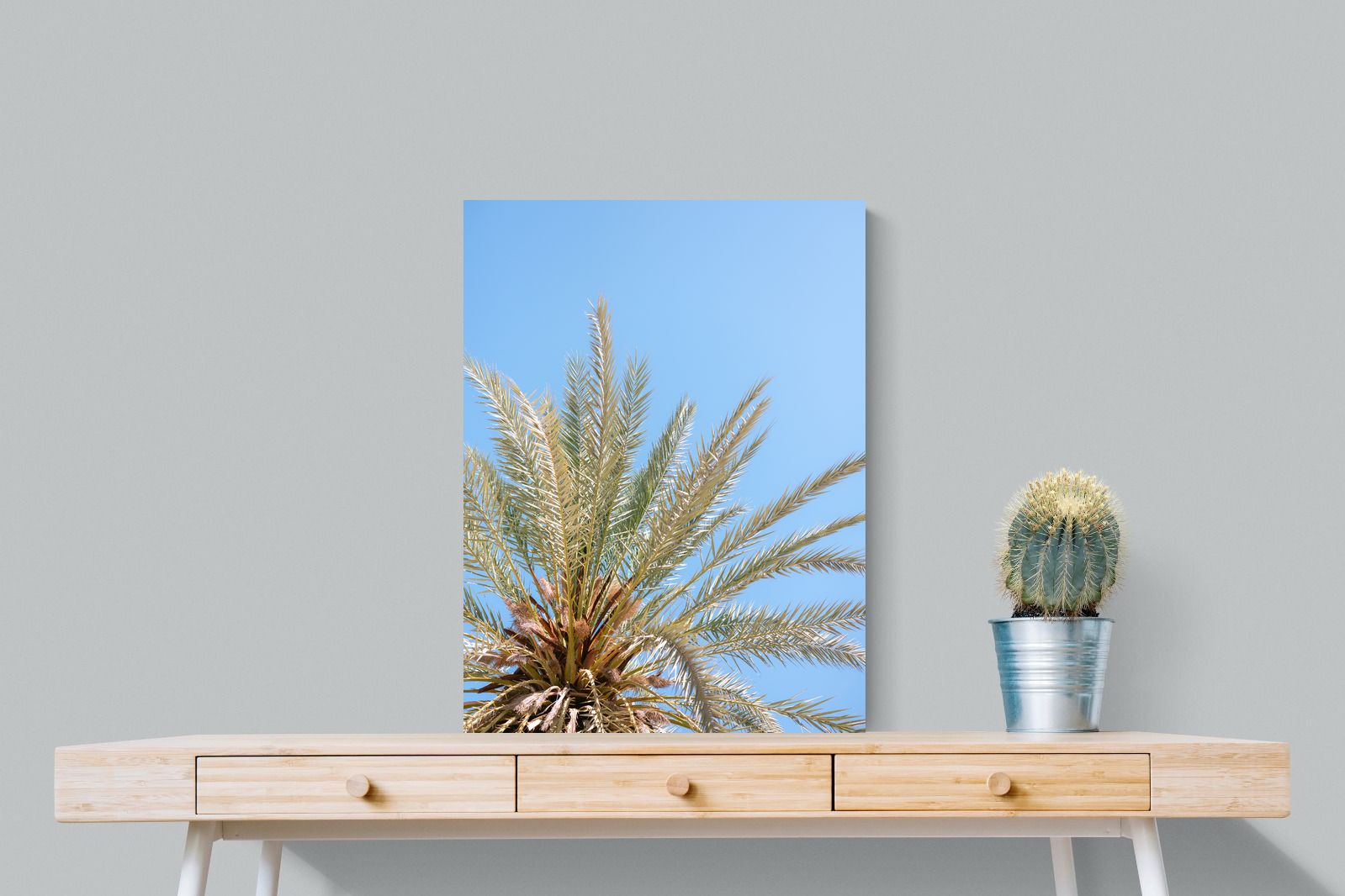 Pixalot Palm Radiance