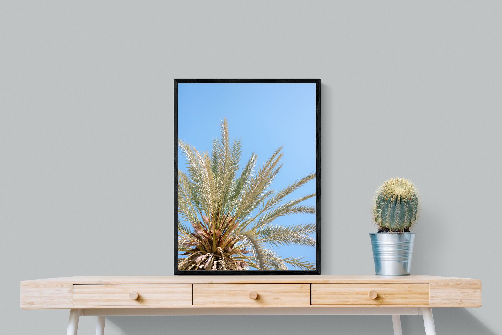 Pixalot Palm Radiance