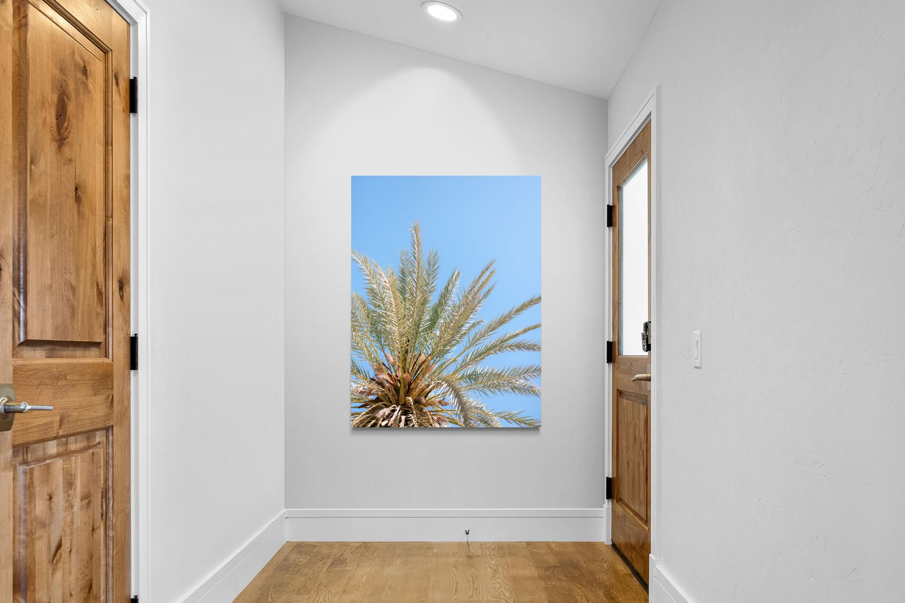 Pixalot Palm Radiance