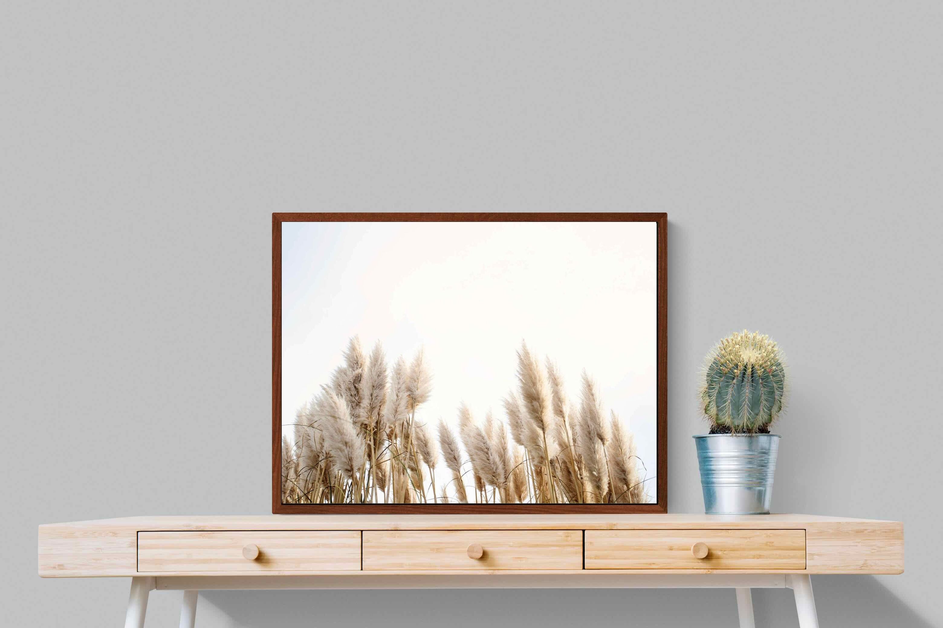 Pixalot ® Pampas Grass