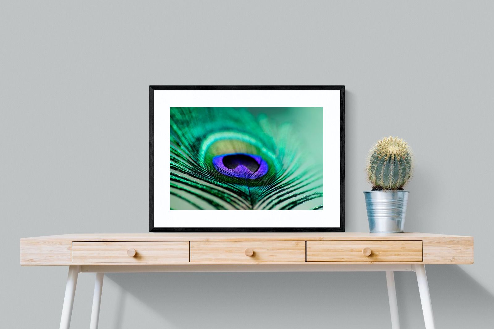 Pixalot Peacock Feather