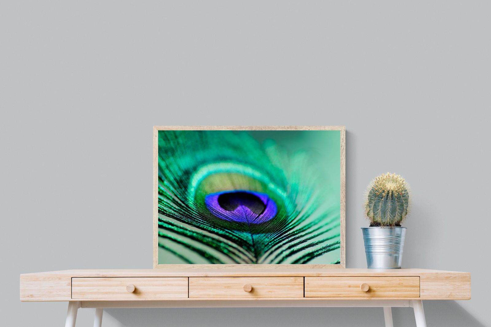 Pixalot Peacock Feather