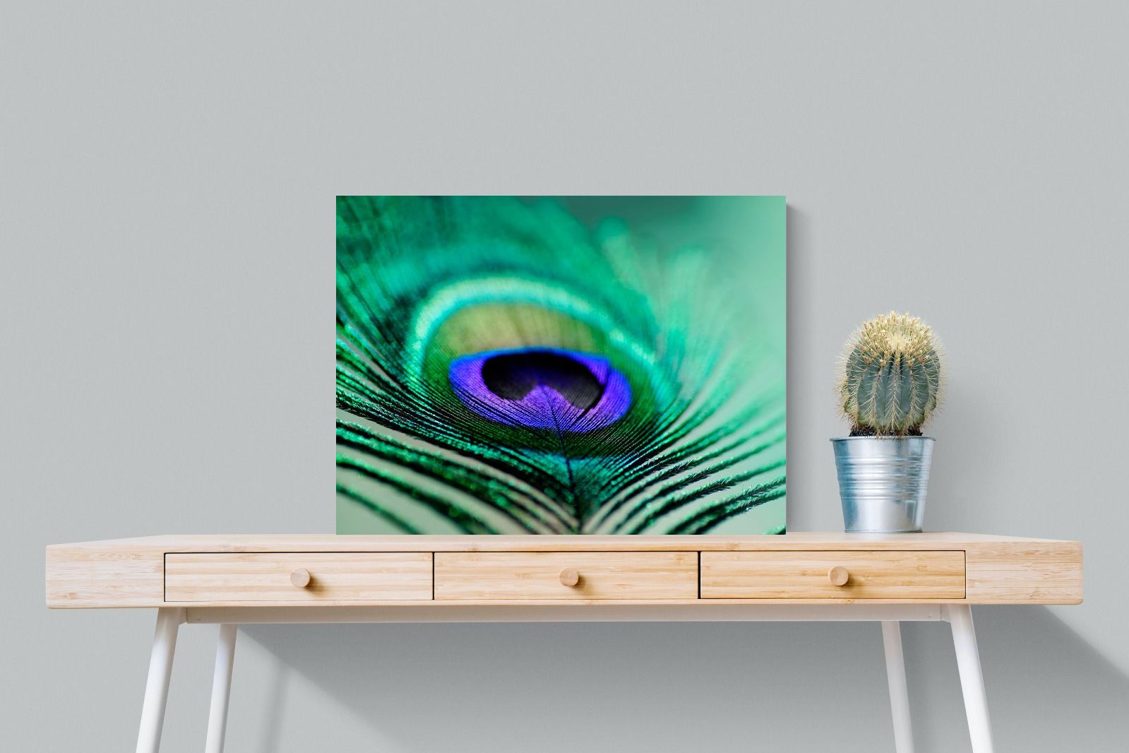 Pixalot Peacock Feather