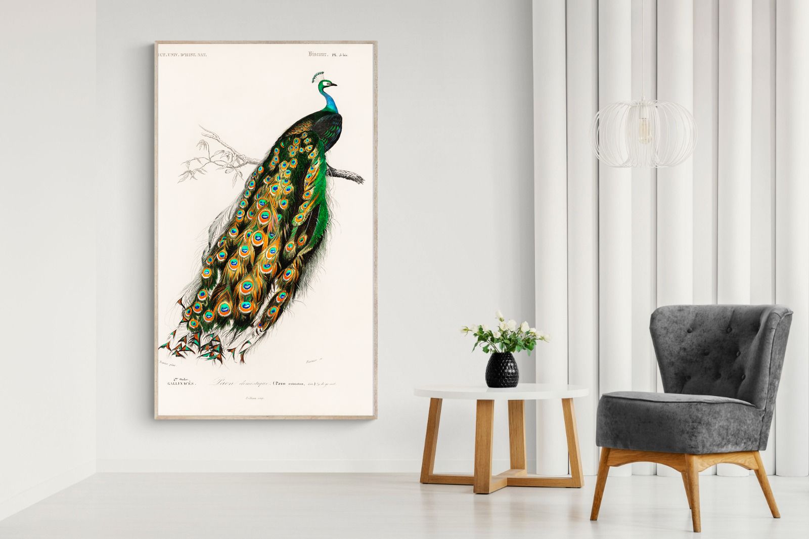 Pixalot Peafowl