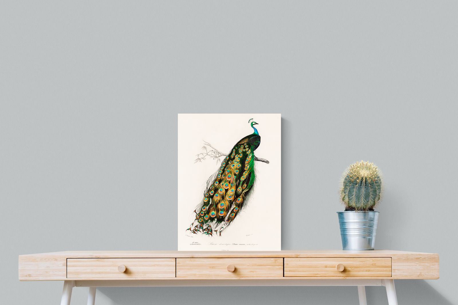 Pixalot Peafowl