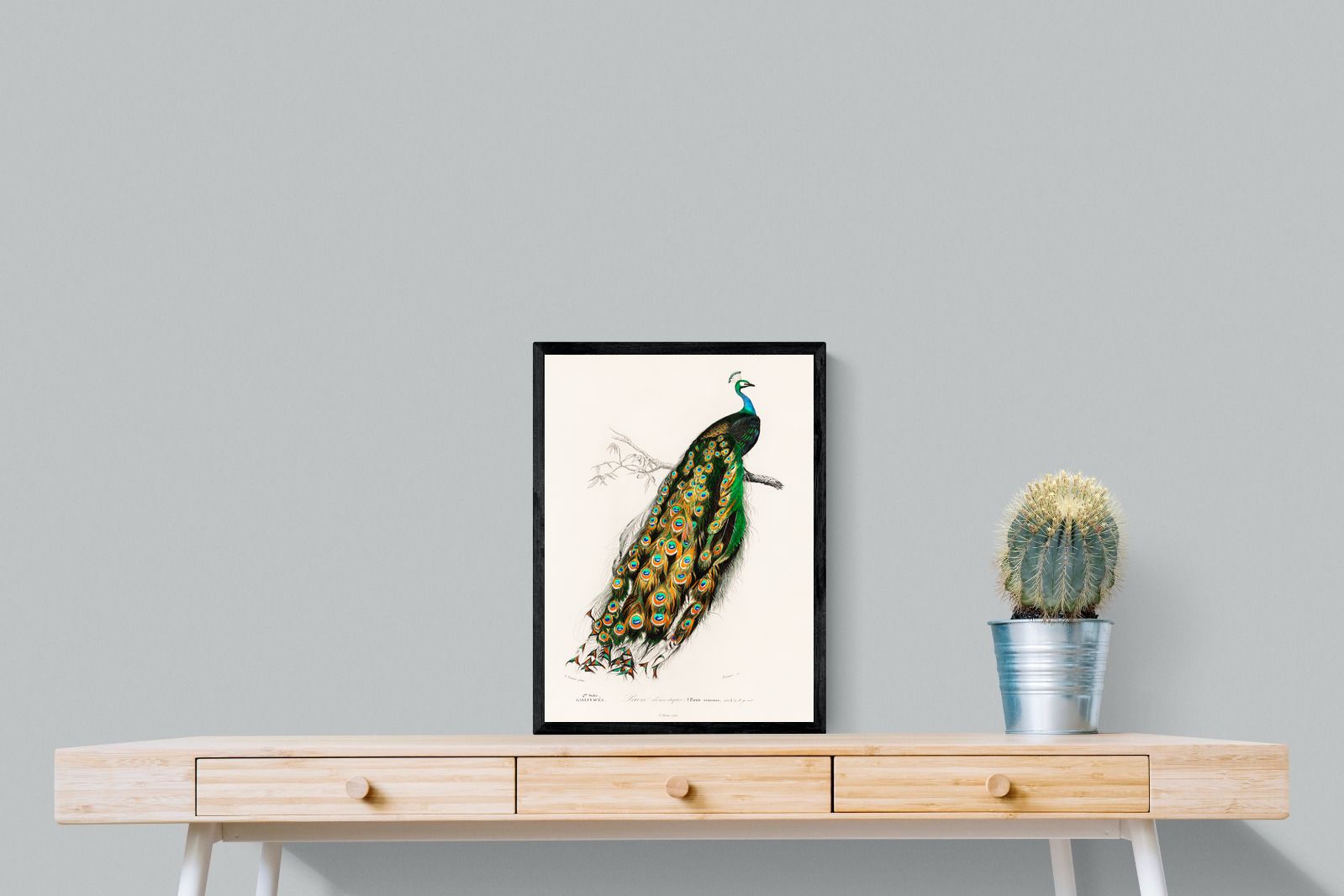Pixalot Peafowl