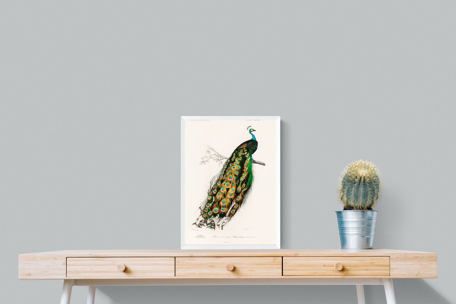 Pixalot Peafowl