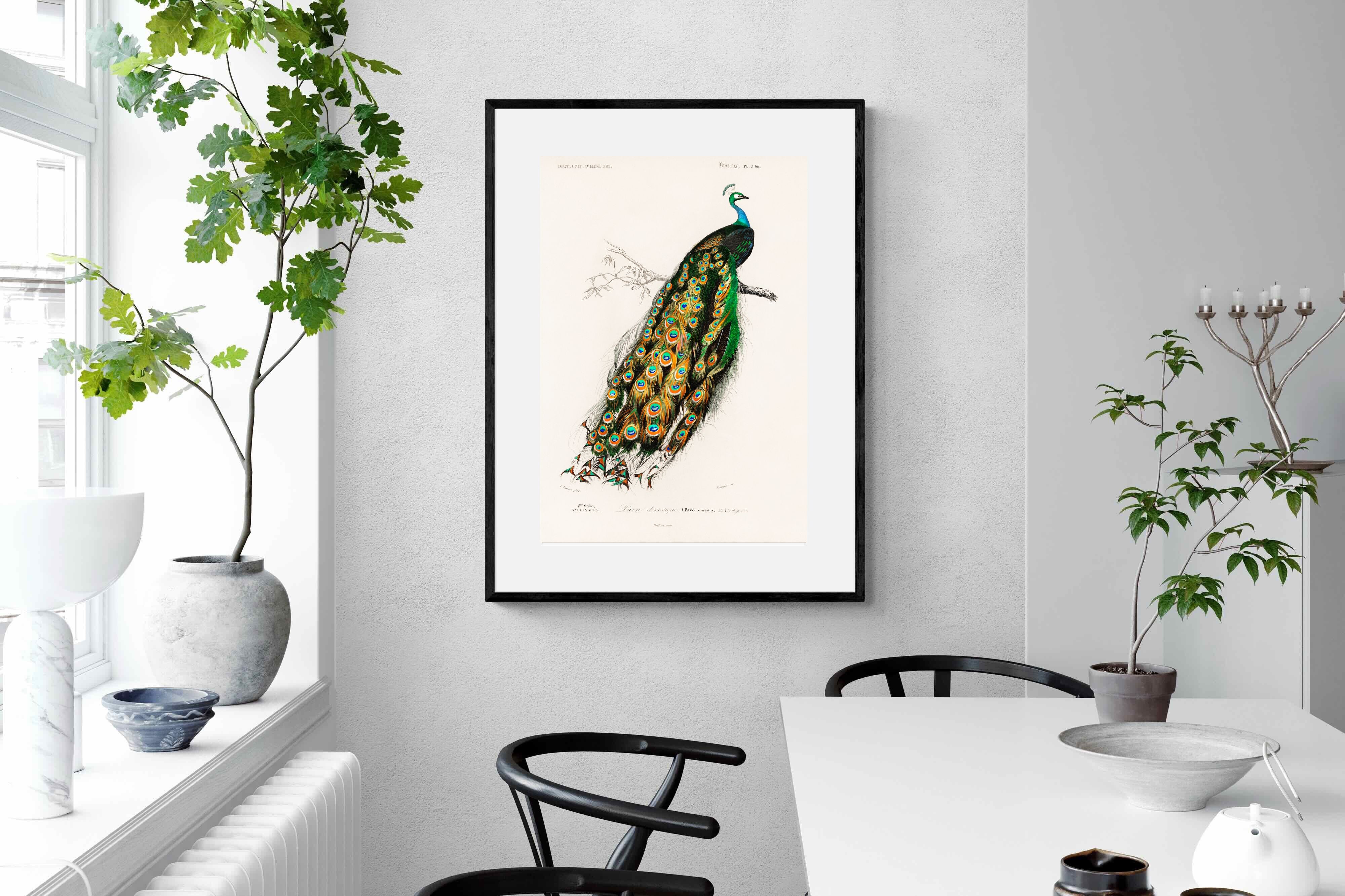Pixalot Peafowl