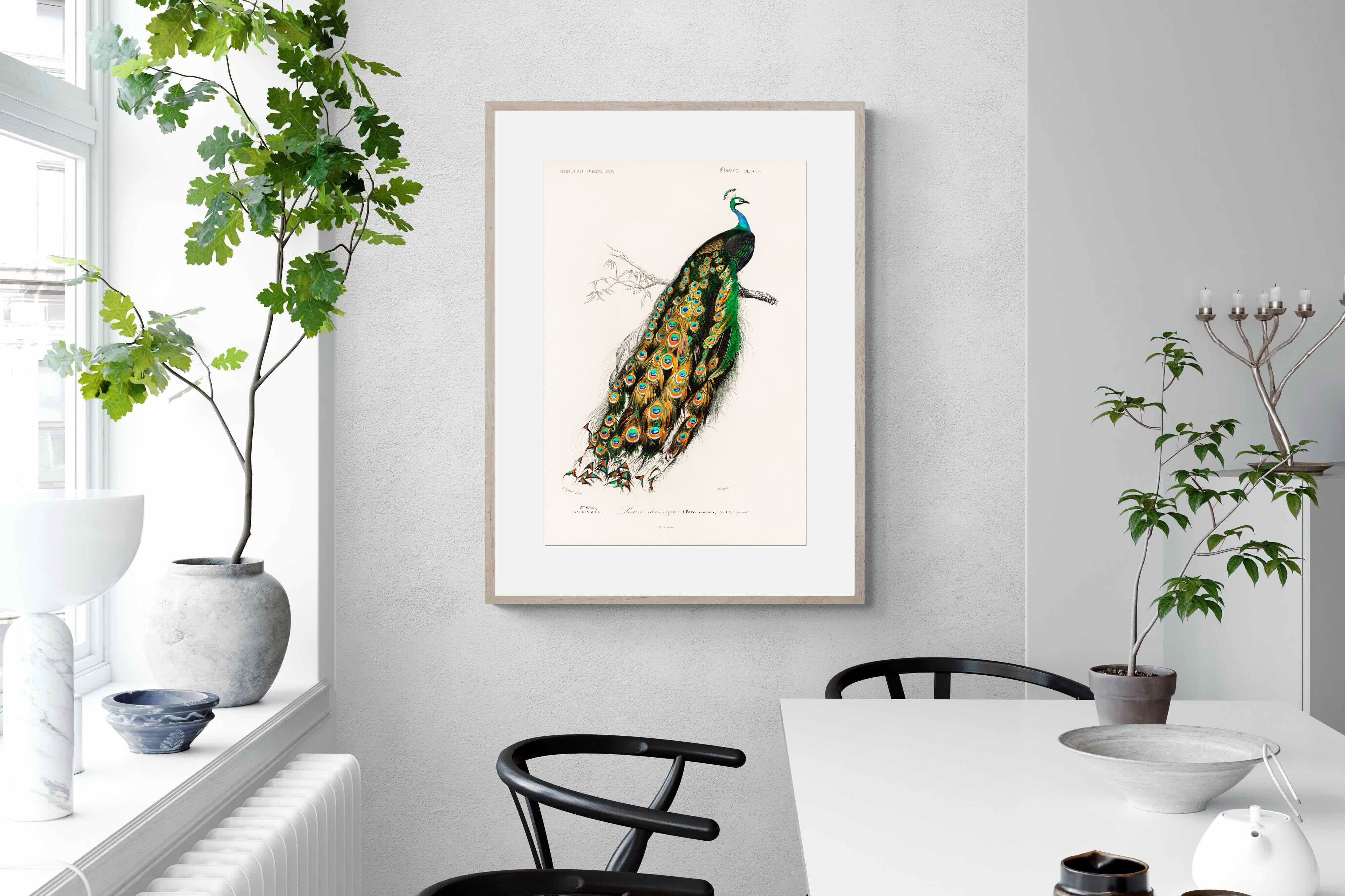 Pixalot Peafowl